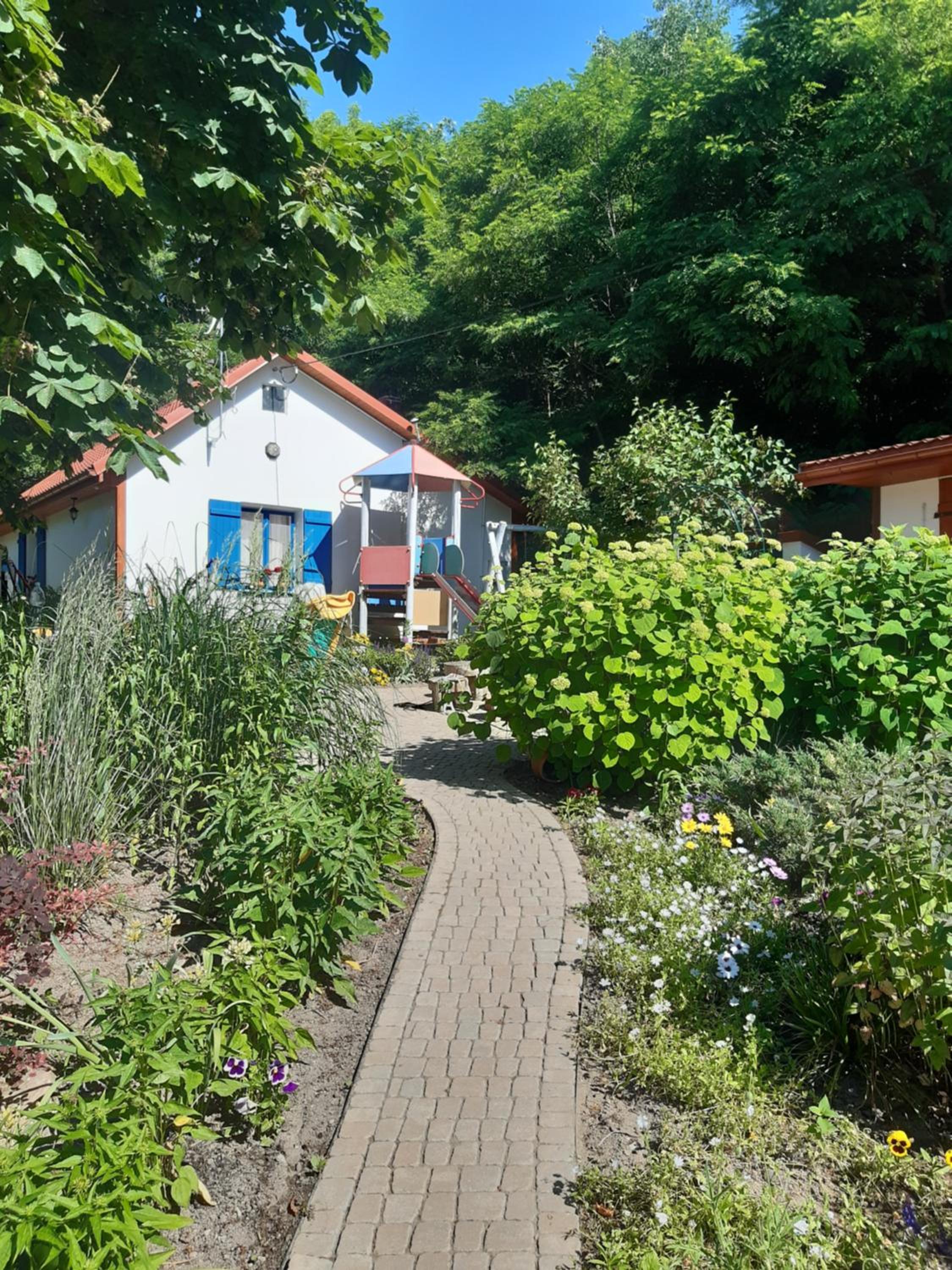 Photo 21