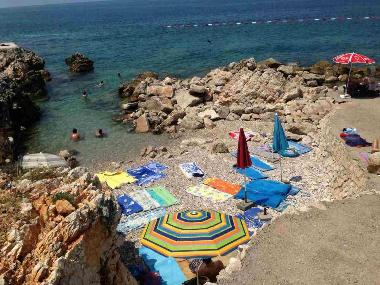 MonoLiza view 3