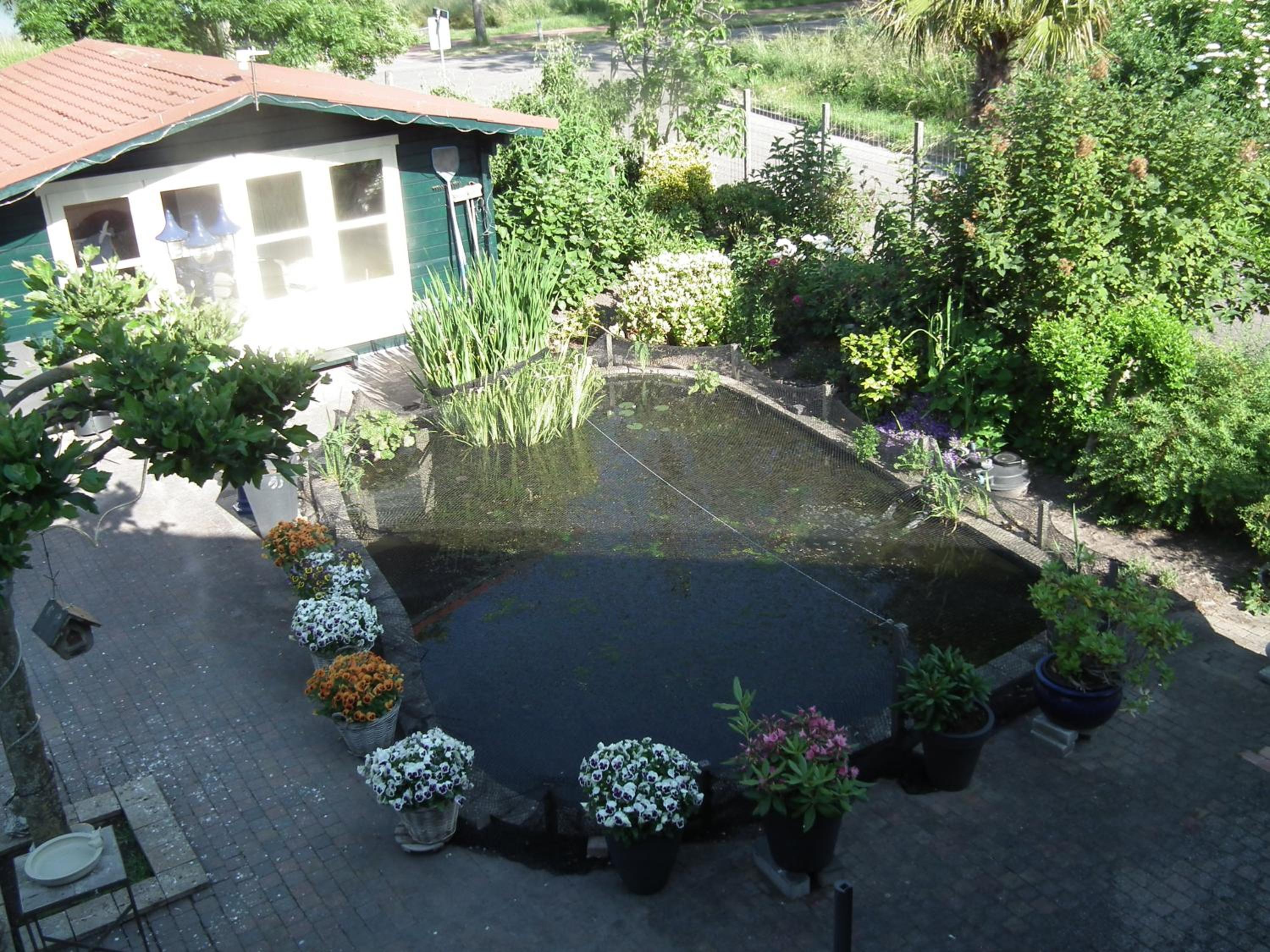Photo 6
