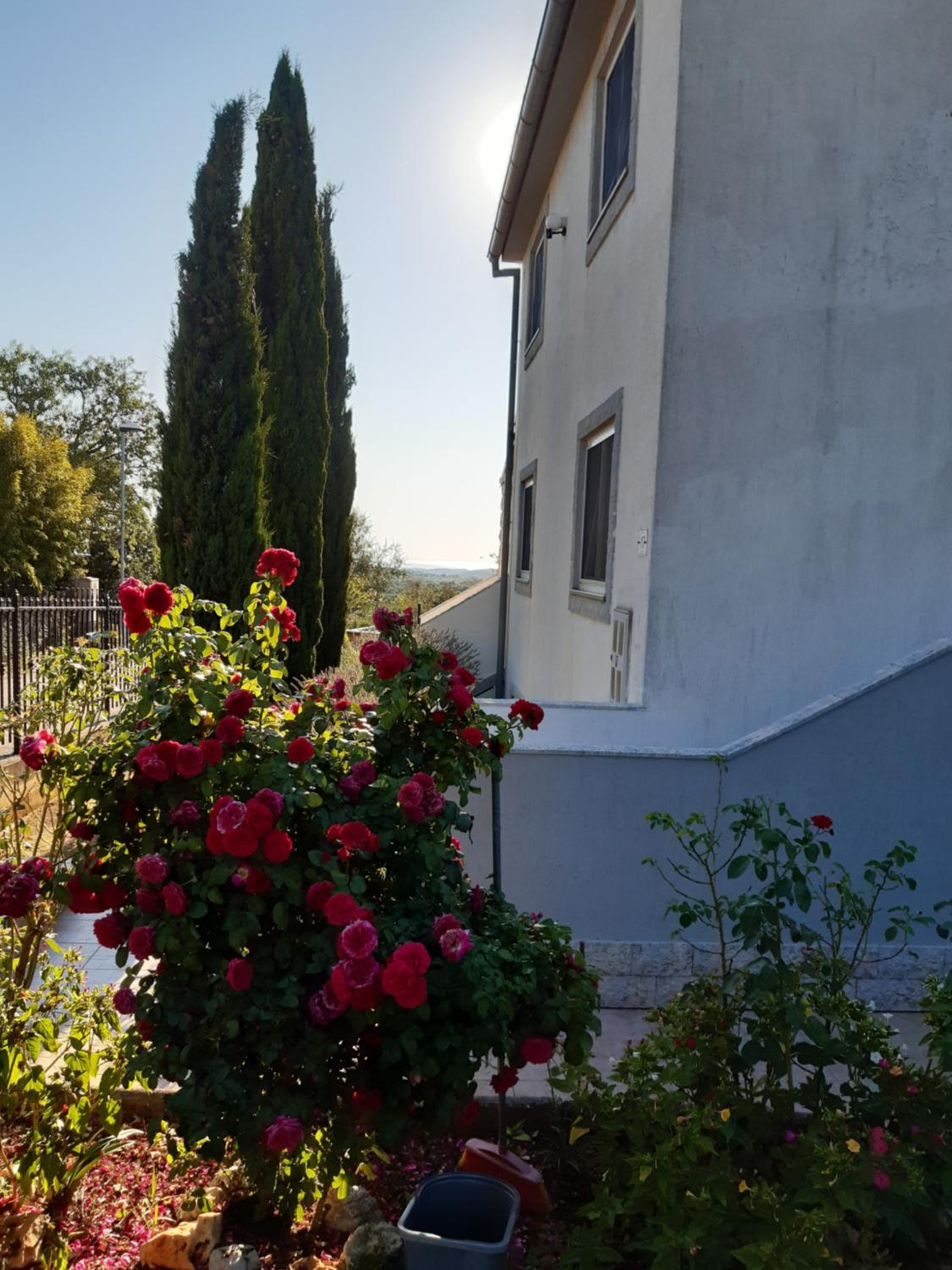 Apartmani Franka view 4