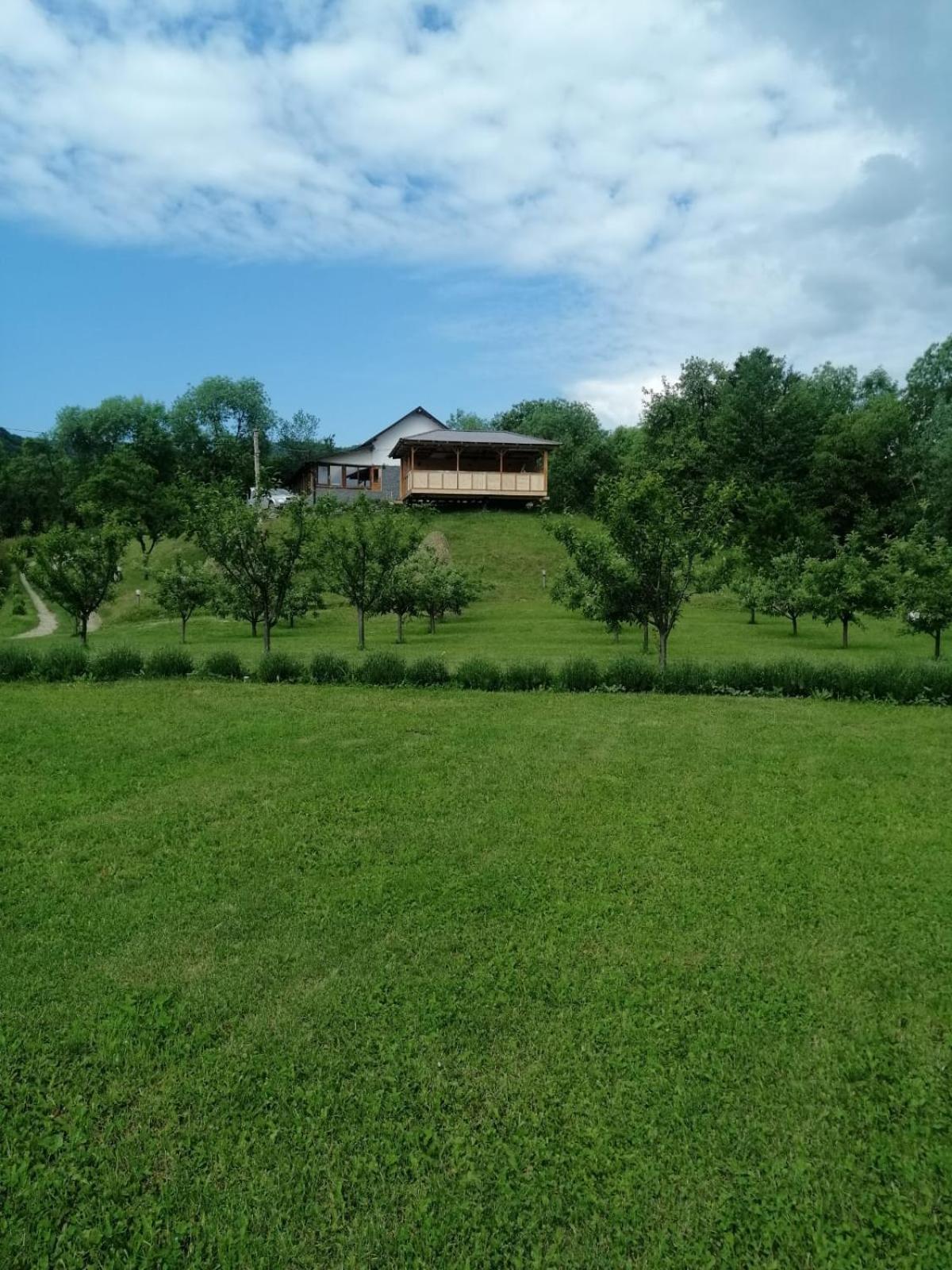 Photo 43
