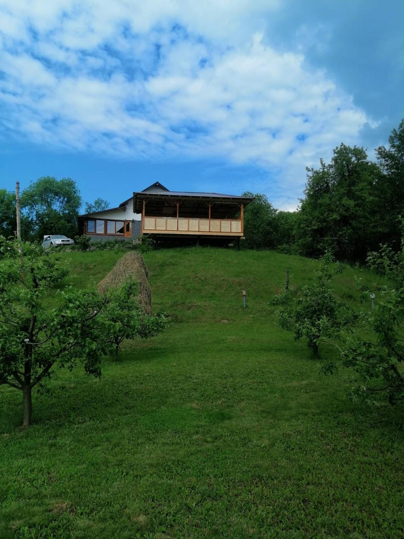 Photo 42