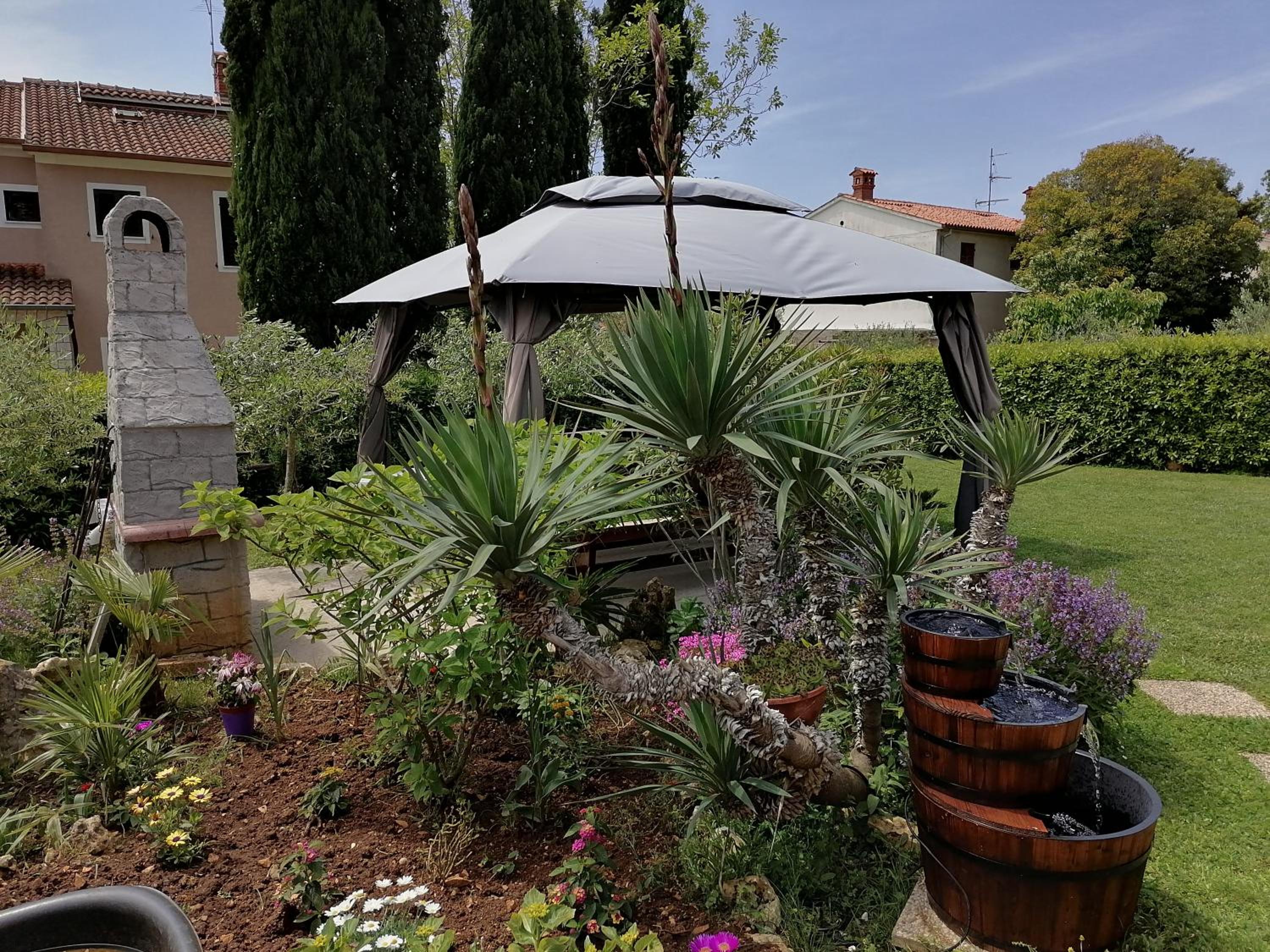 Relax green house view 5