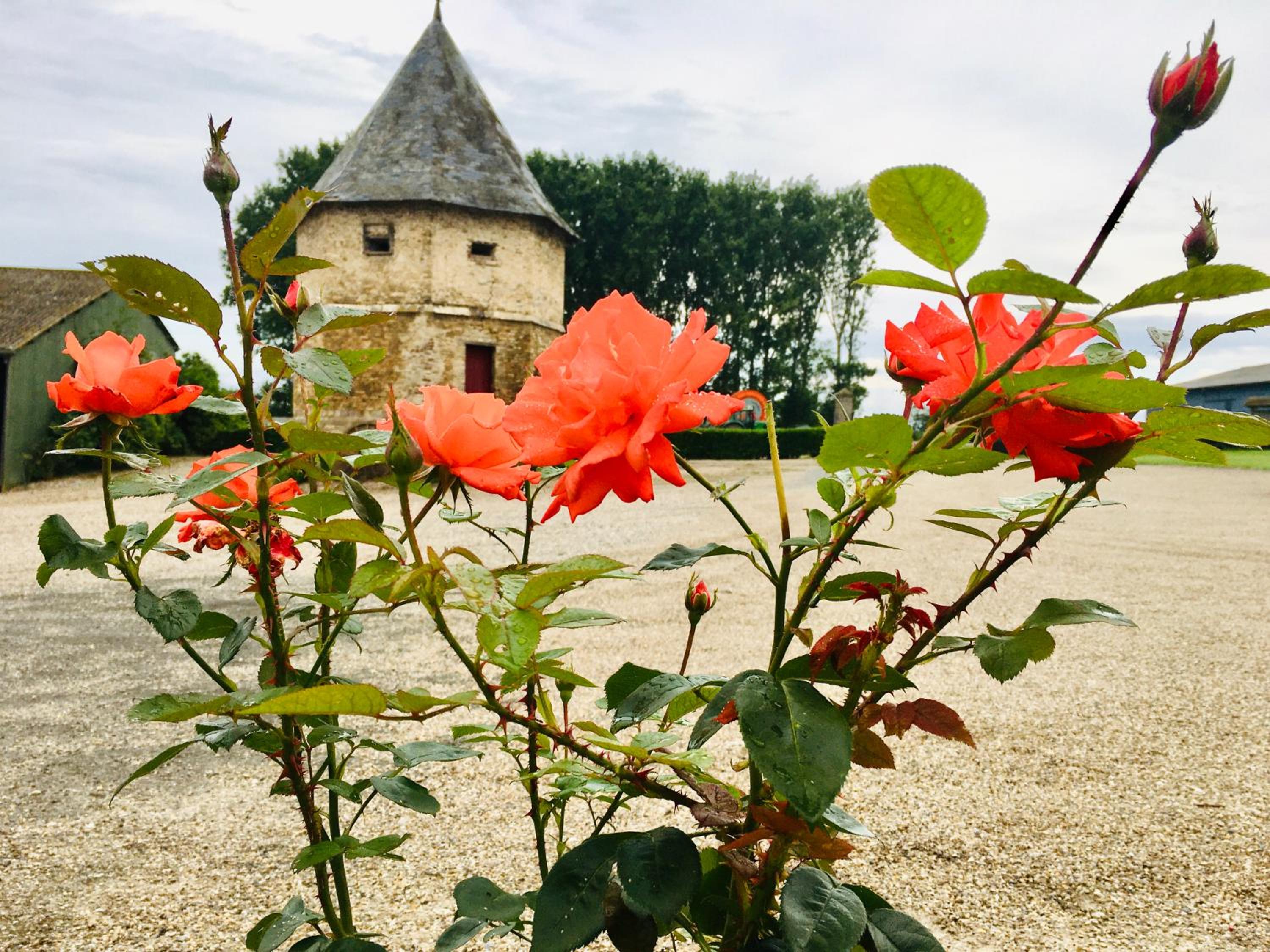 Chambres dhotes a la ferme view 4