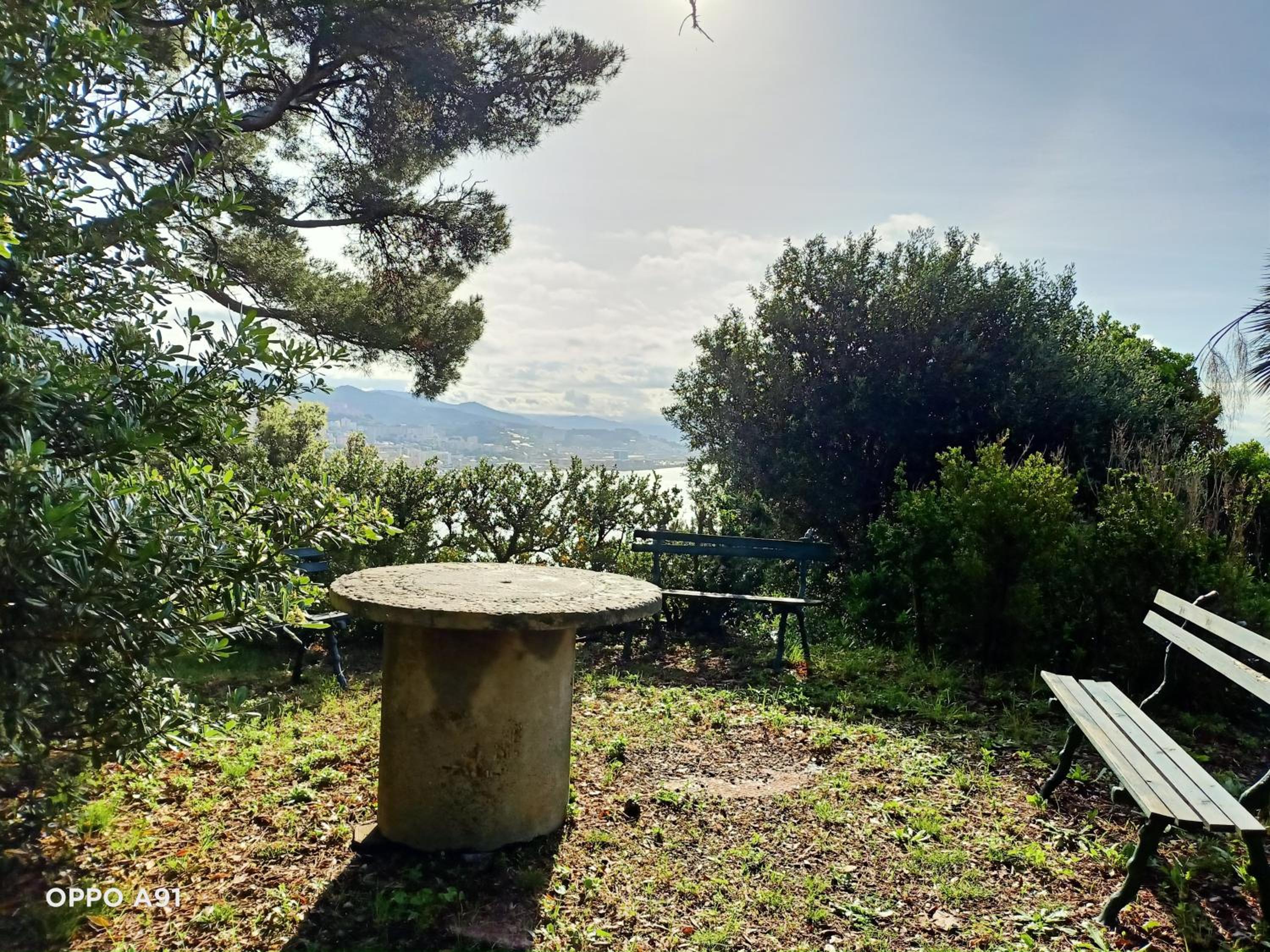 Villa D'Albertis view 4