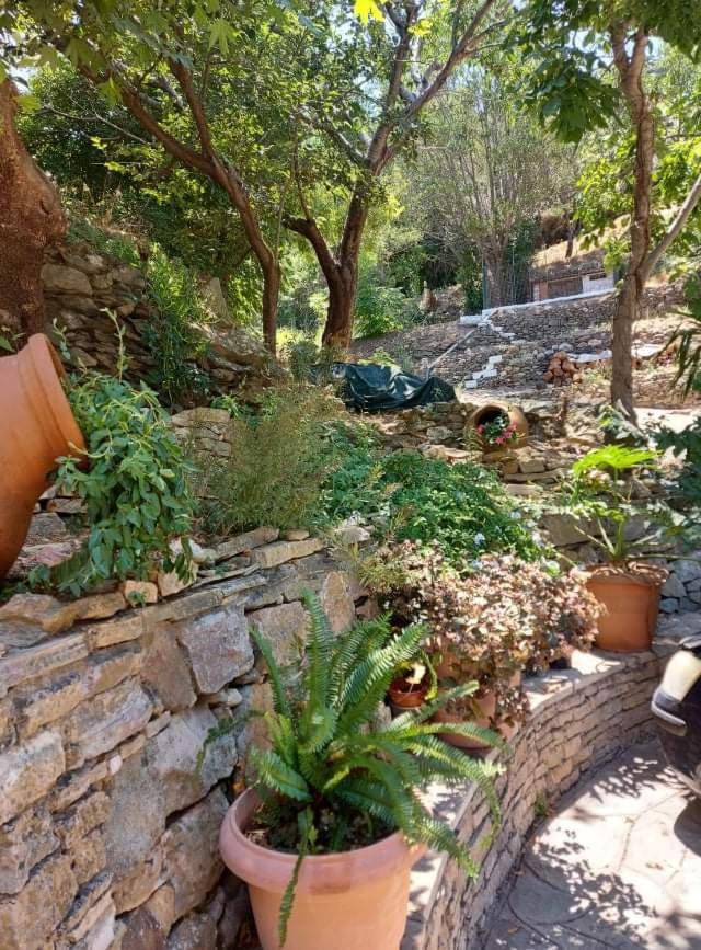Photo 29