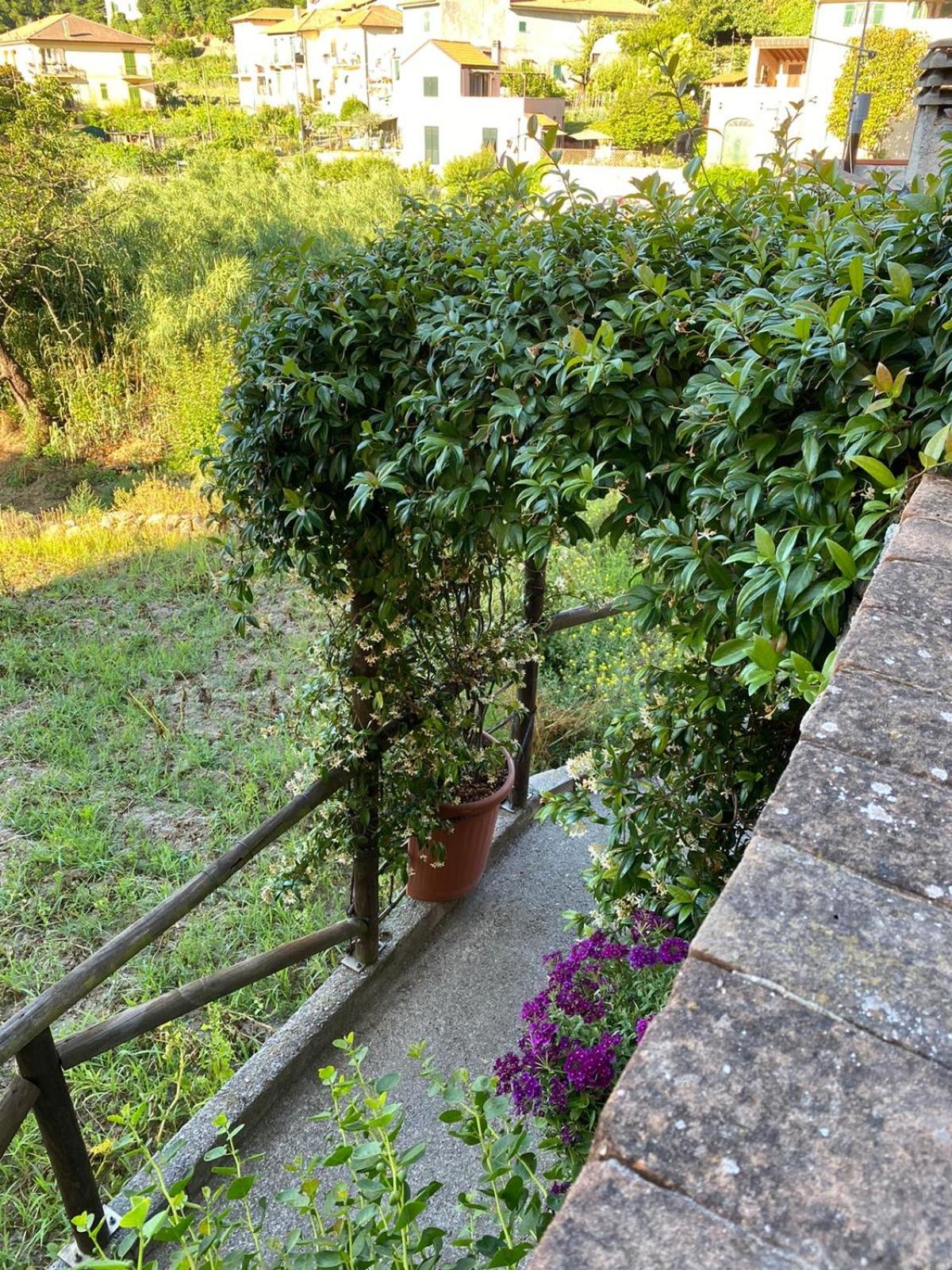 Pippi's Home Finale con box auto photo 2