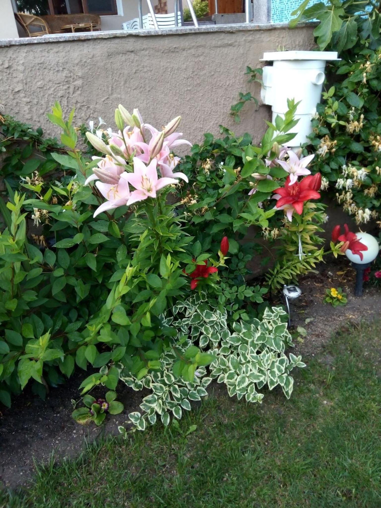 Photo 22