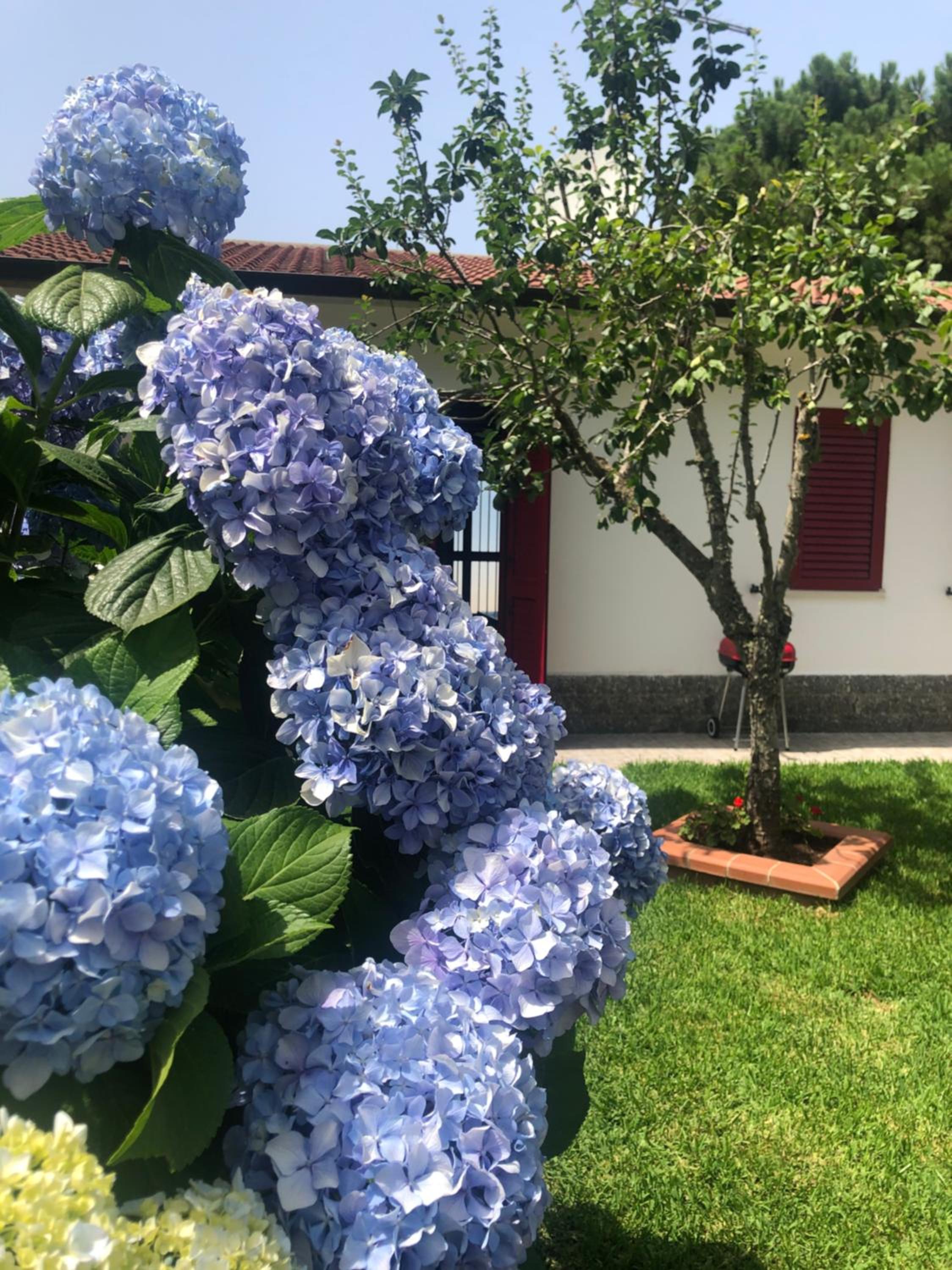 La Casa delle Ortensie Guest House view 4