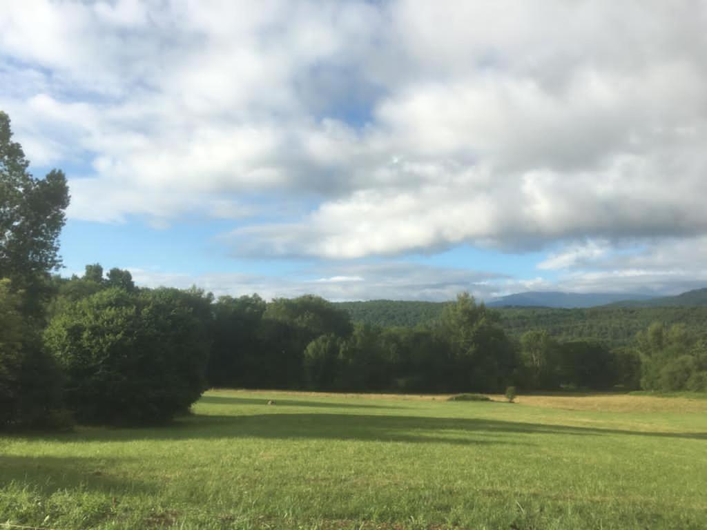 Domaine La Tour view 4
