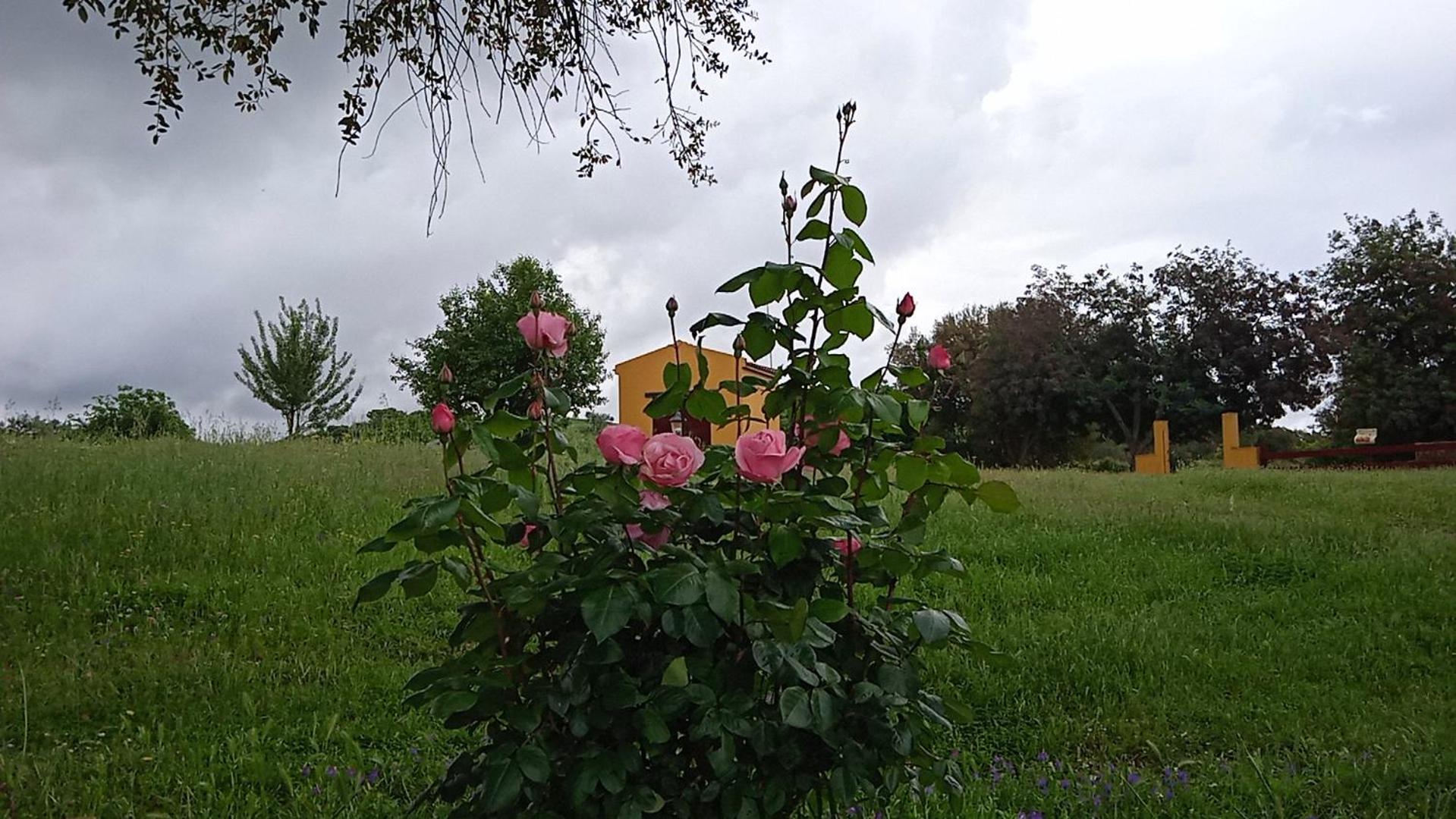 Casa Rural Camino del Alentejo view 4