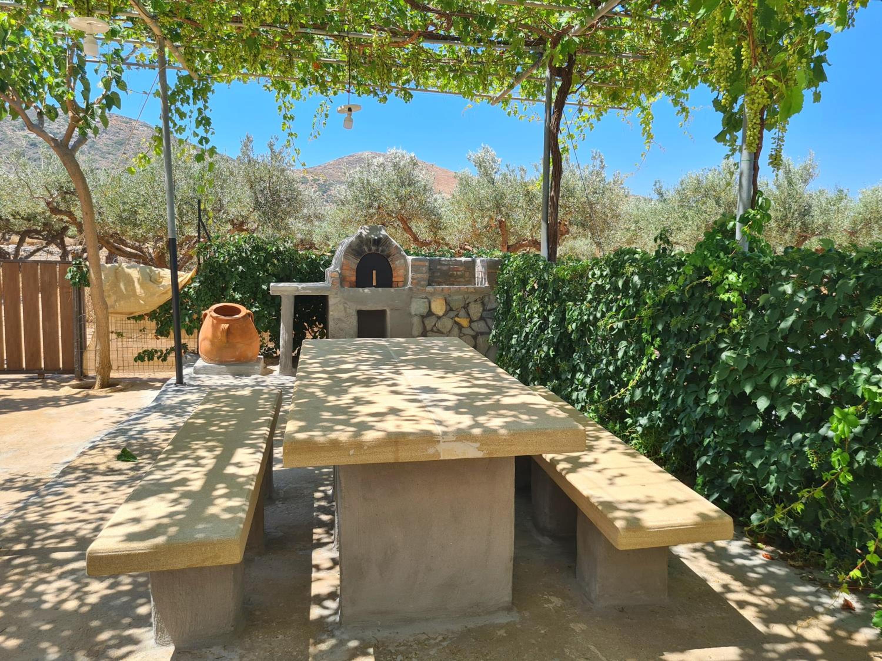 Pause Serenity House into Olive Groves photo 3