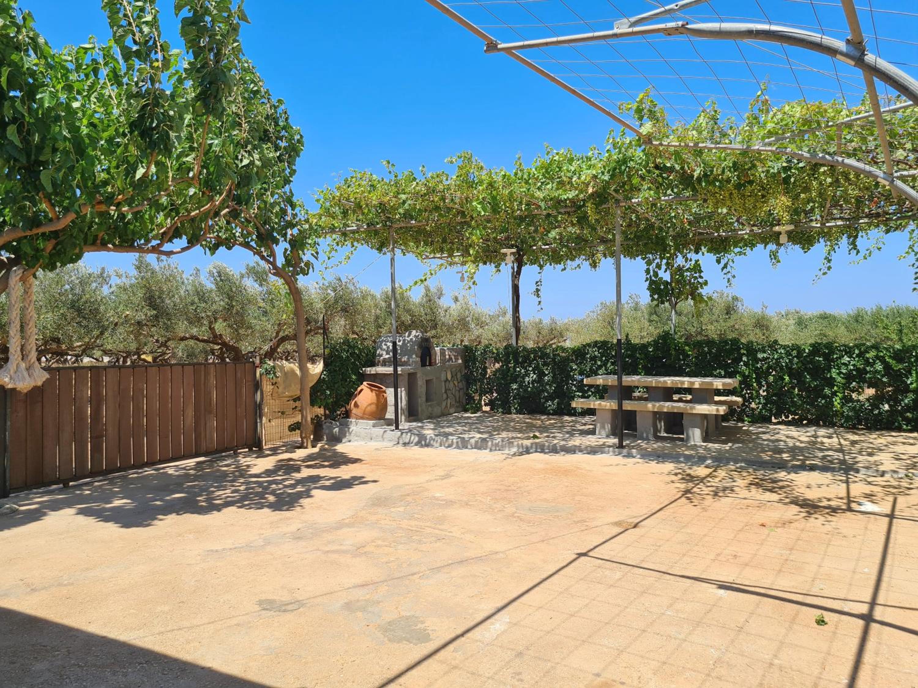 Pause Serenity House into Olive Groves photo 5