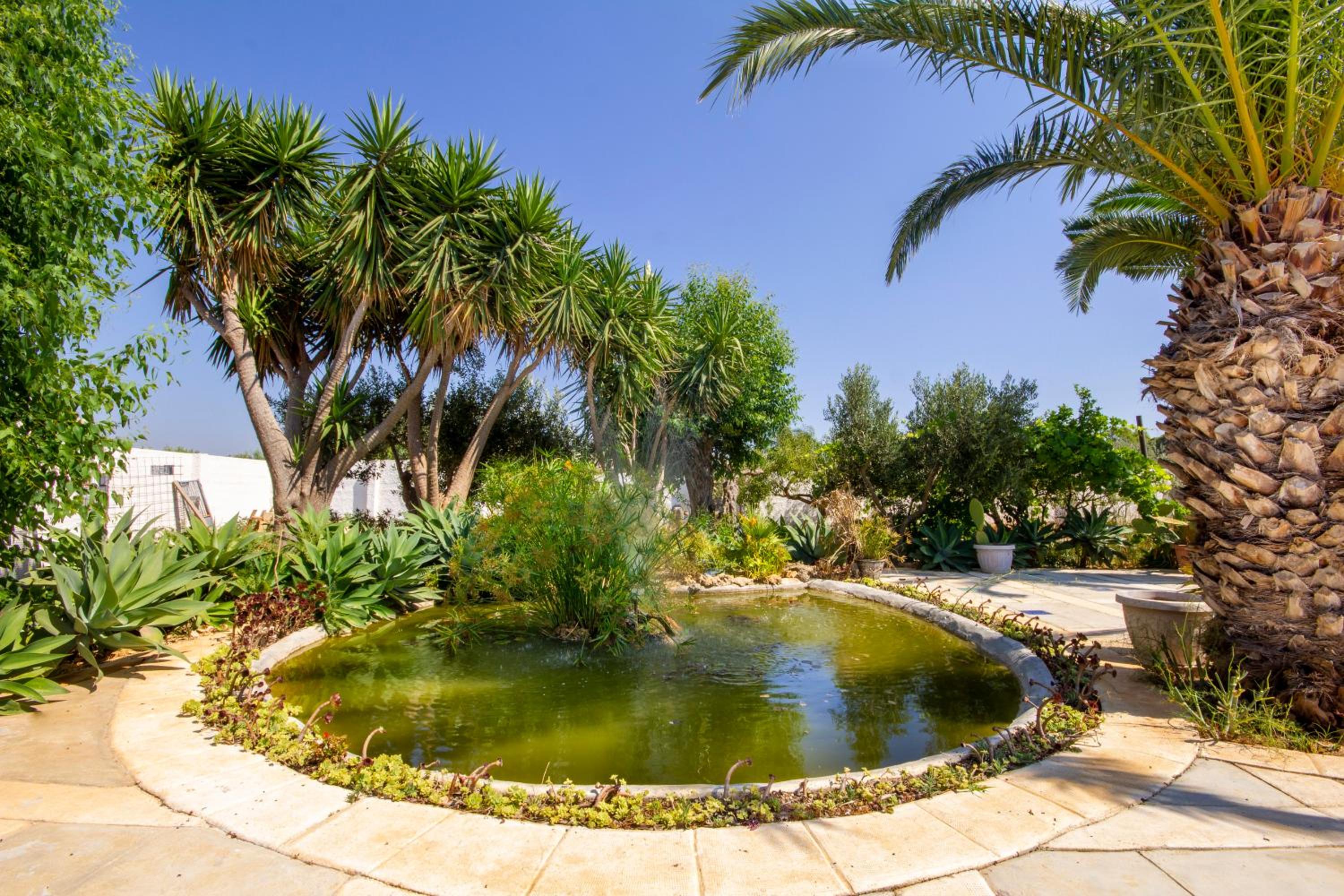 Villa baglio 1 photo 1