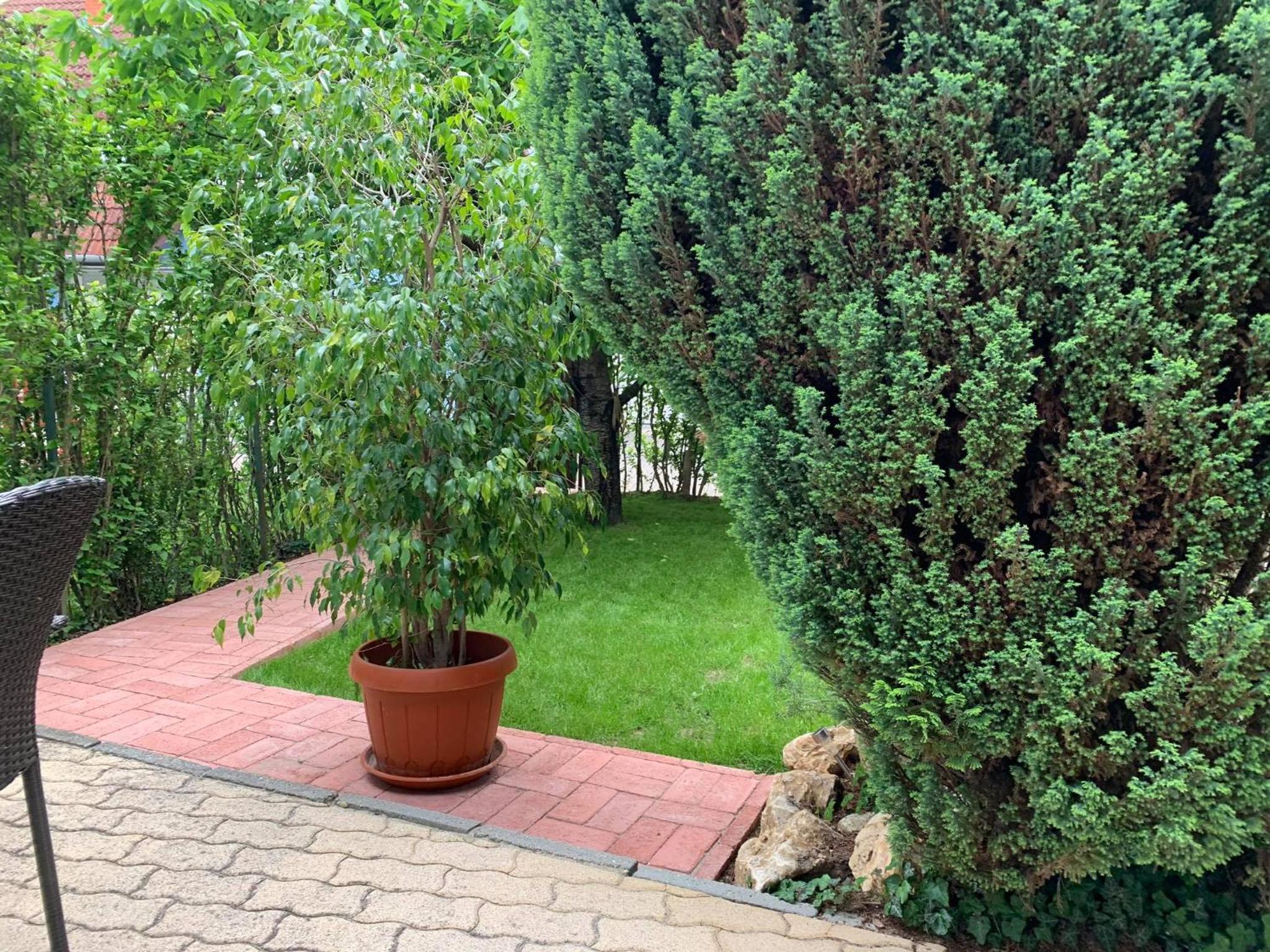 Balaton Apartman view 3