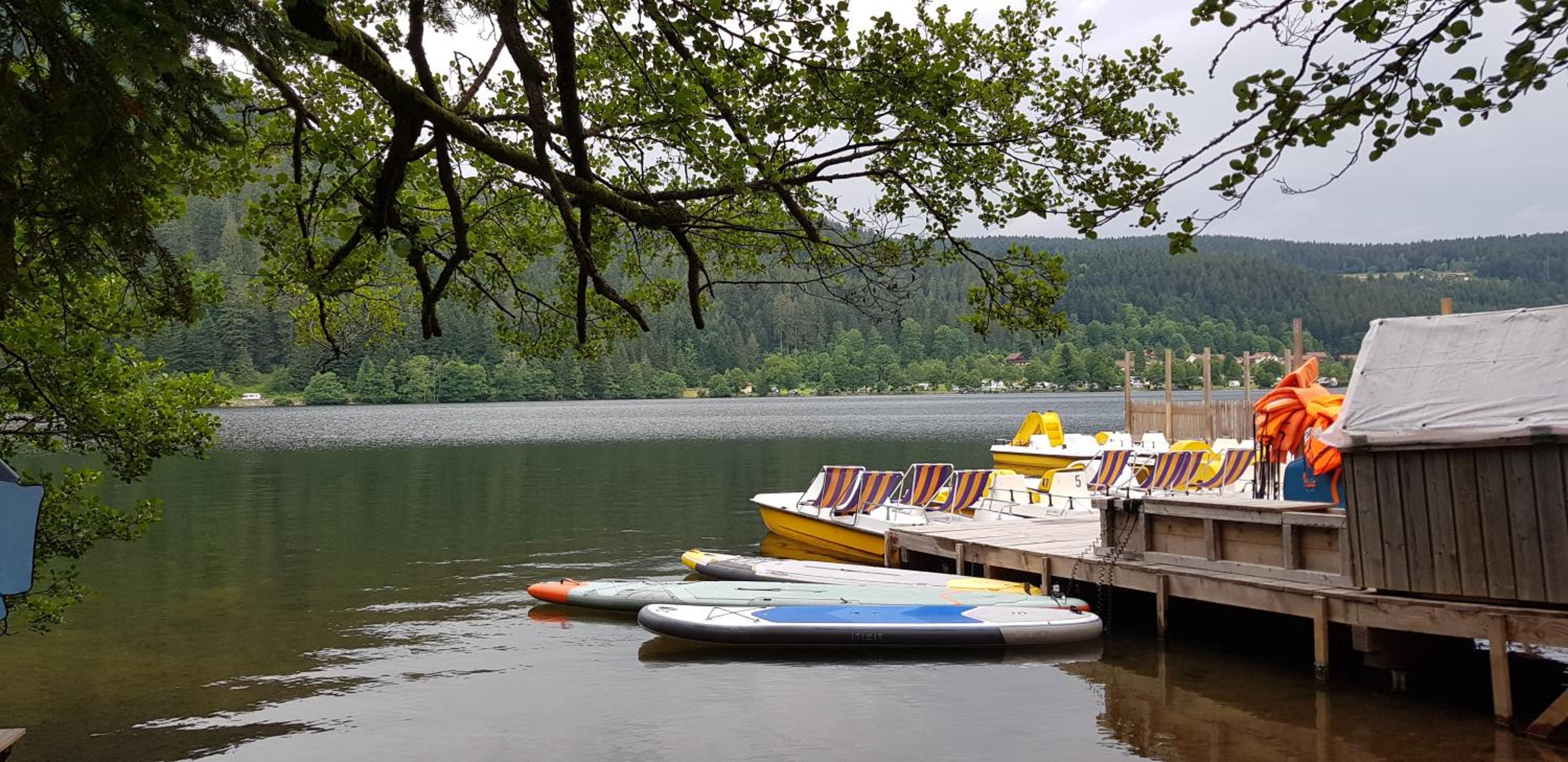 Chalet Mauselaine