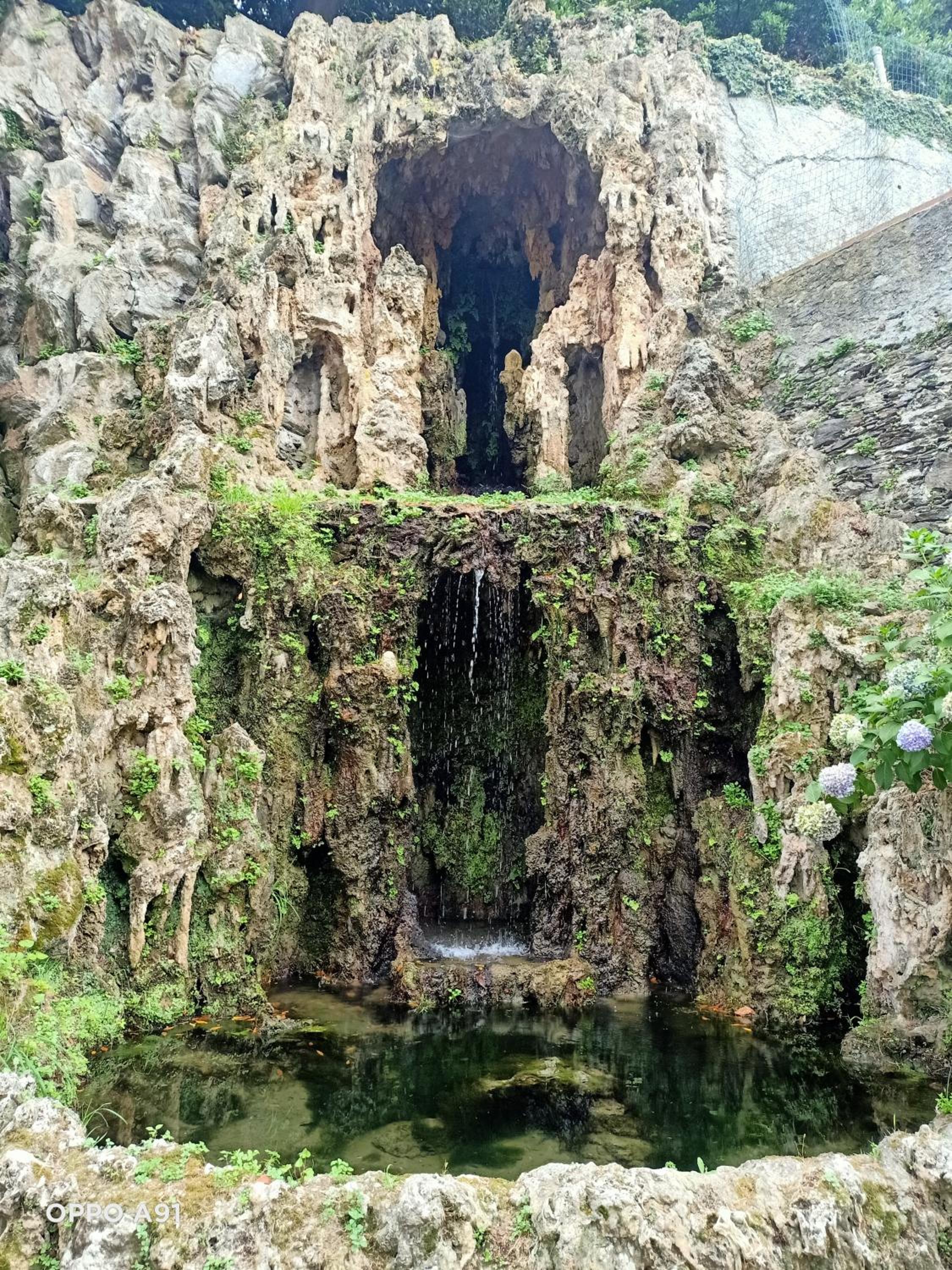 Photo 33