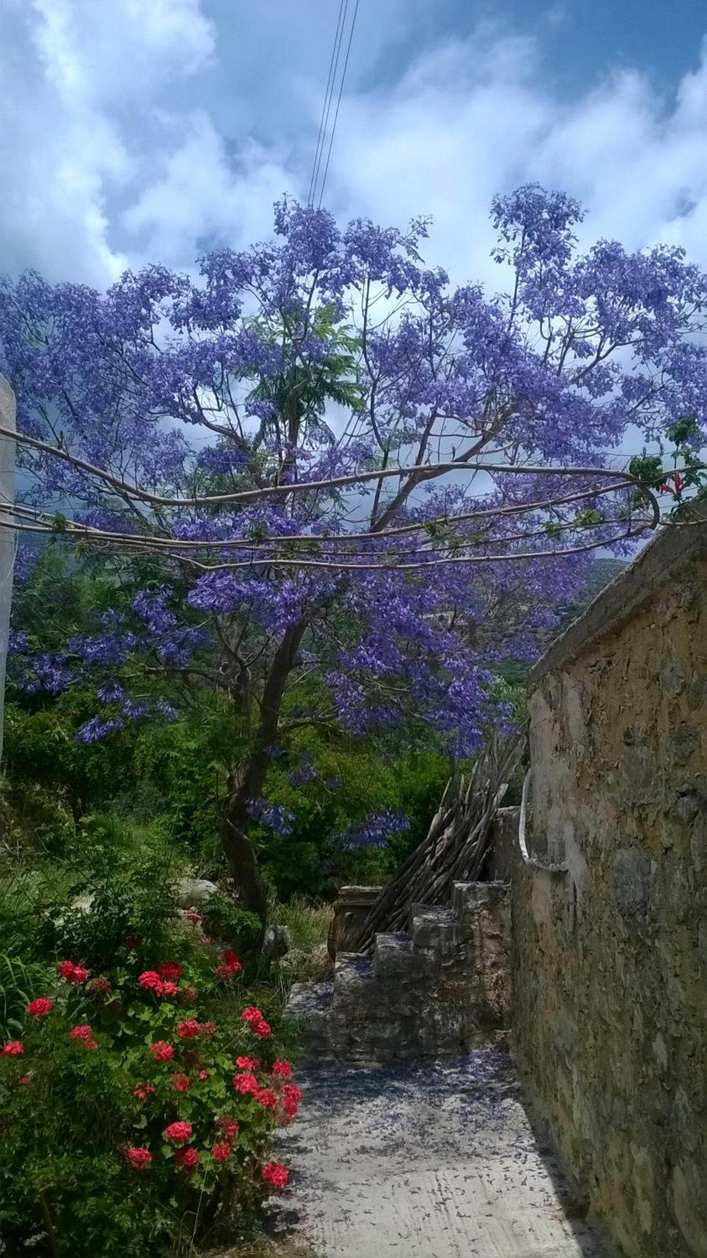 Comfortable Family House nearby Mirtos view 2