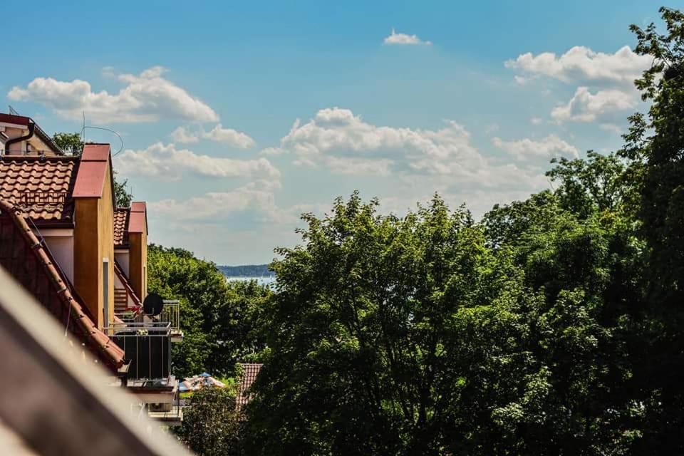 Sweet Nest Apartment view 3