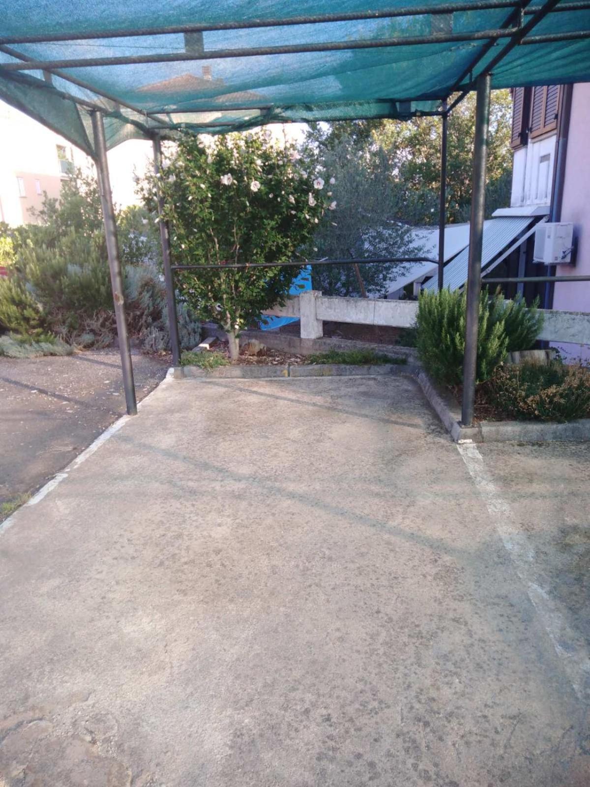 Apartment Zlatica