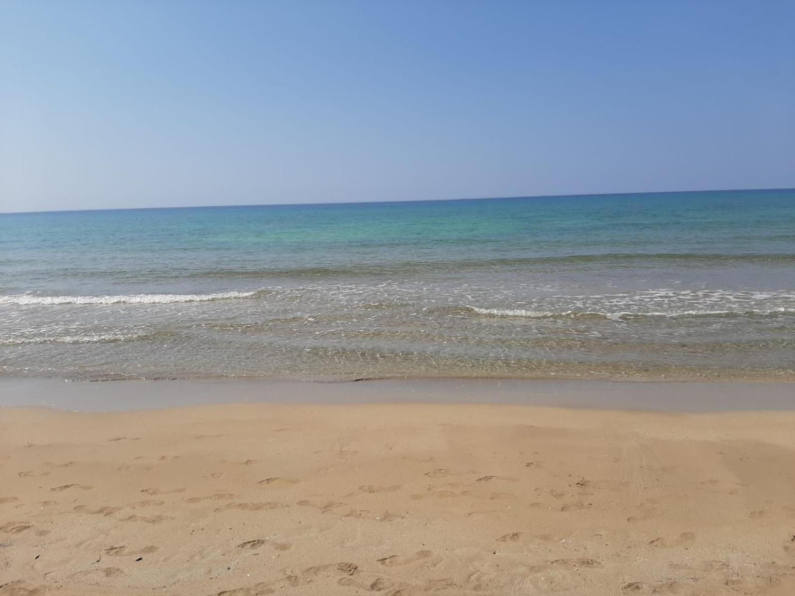 Oasi d'argilla photo 2