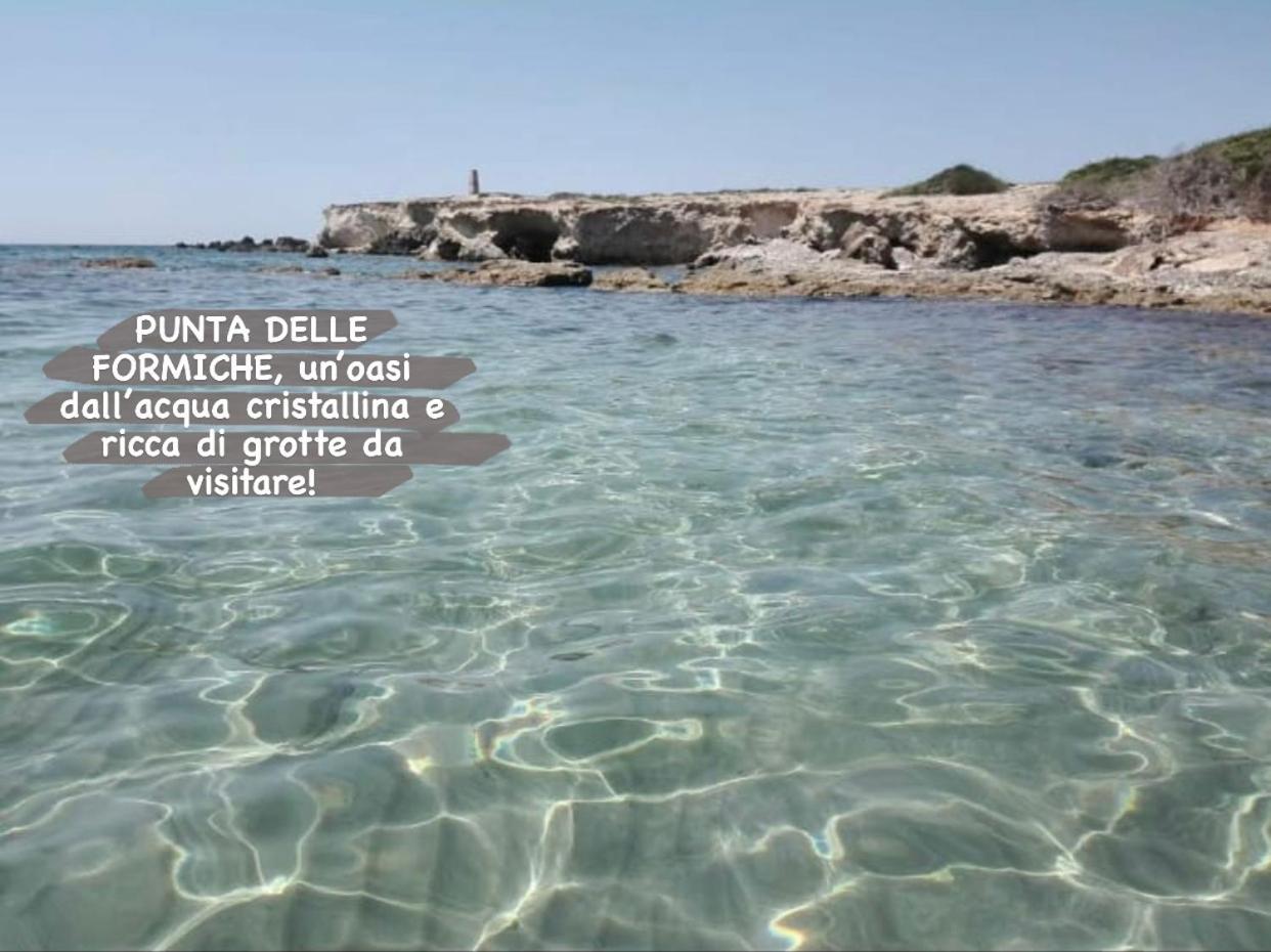 Oasi del sogno photo 3