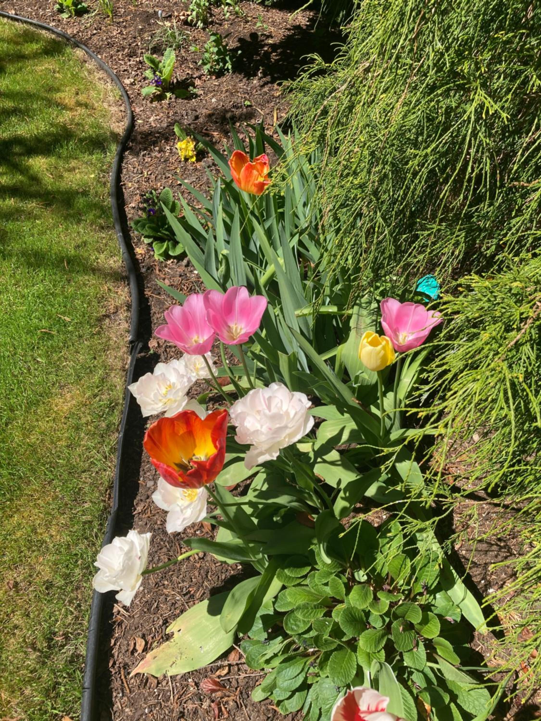 Kye Bay BnB - A Place to Breathe
