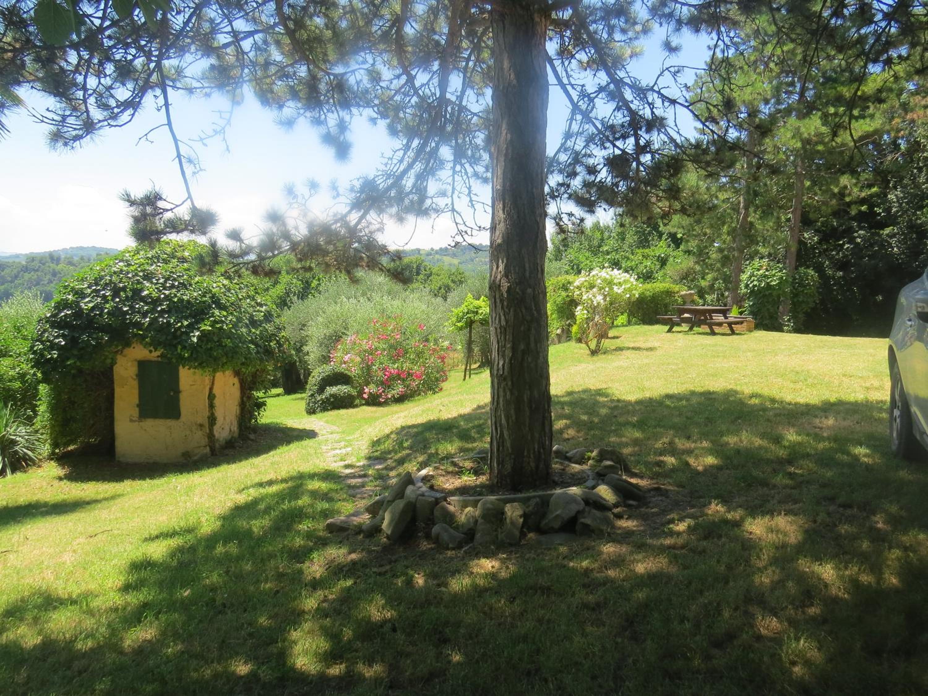 Photo 20