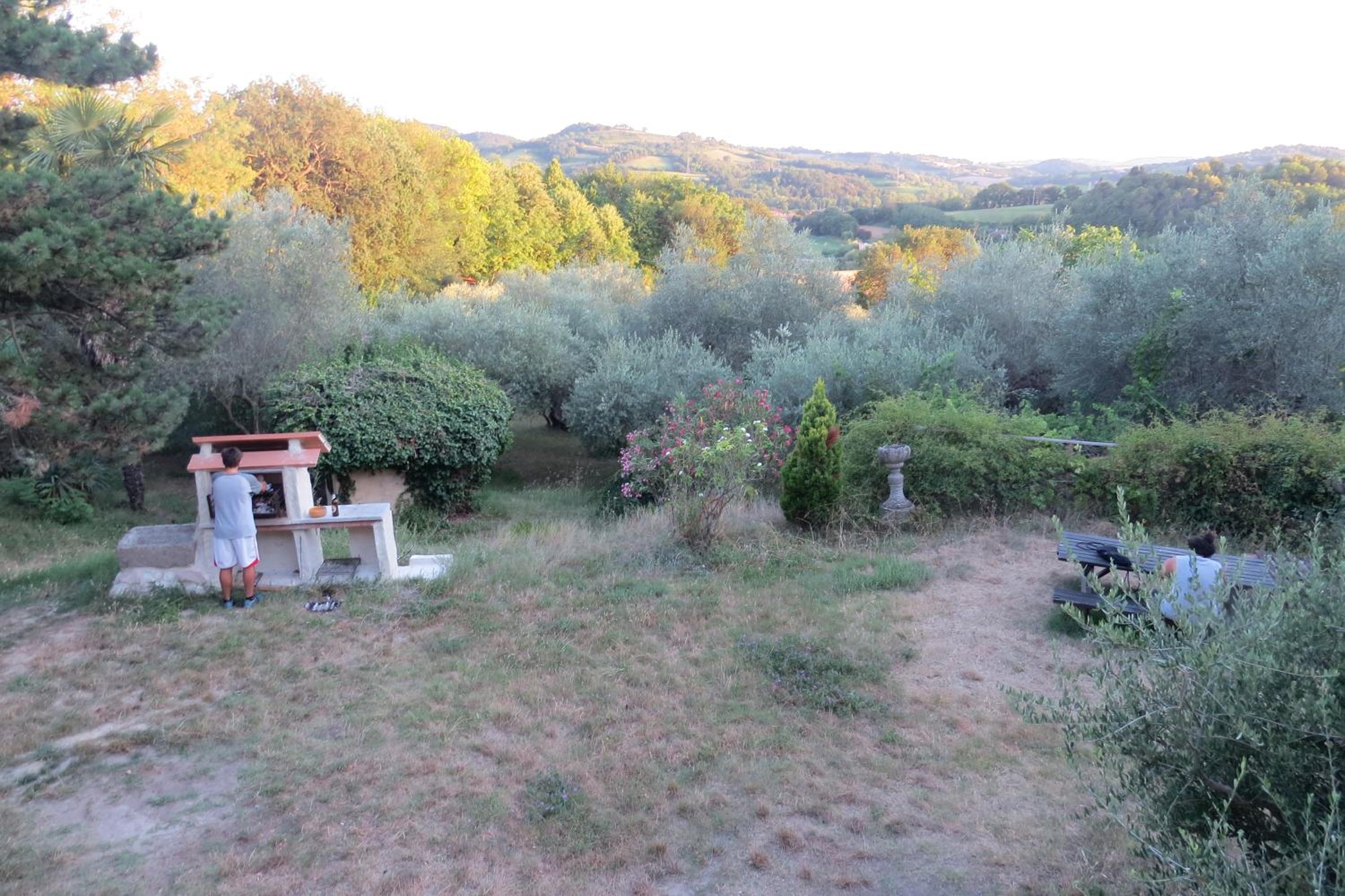 Photo 23