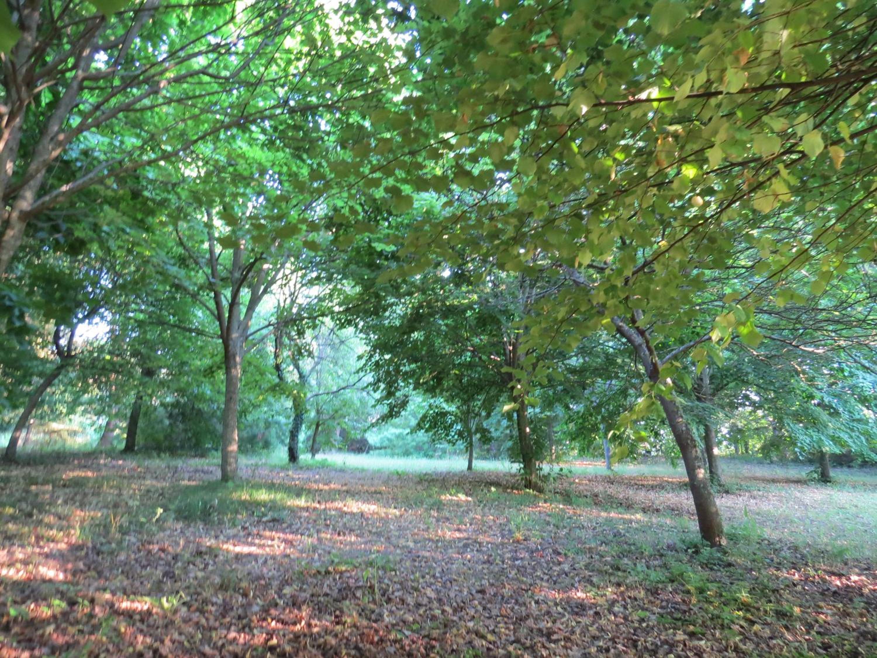 Photo 26