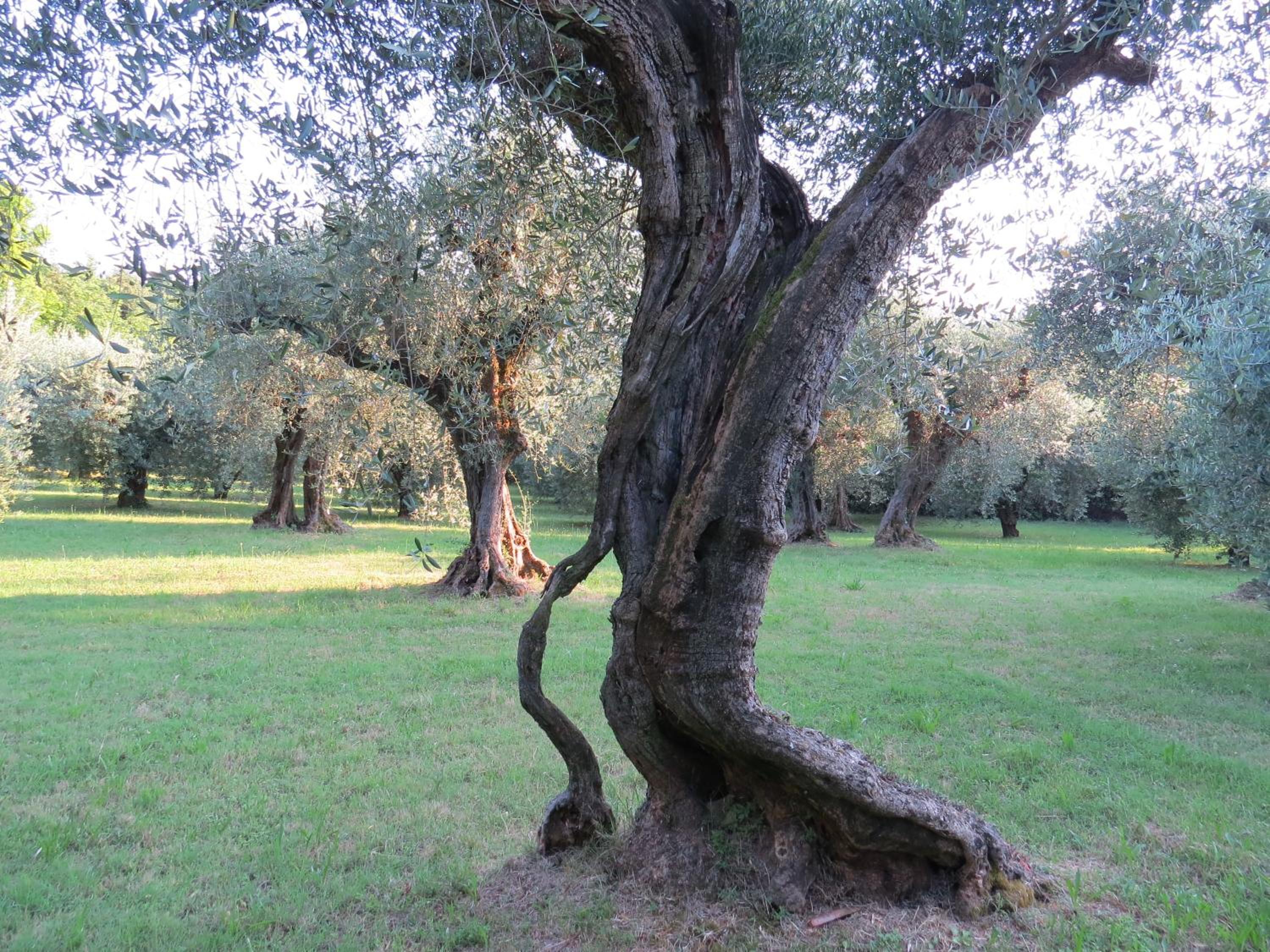 Photo 25