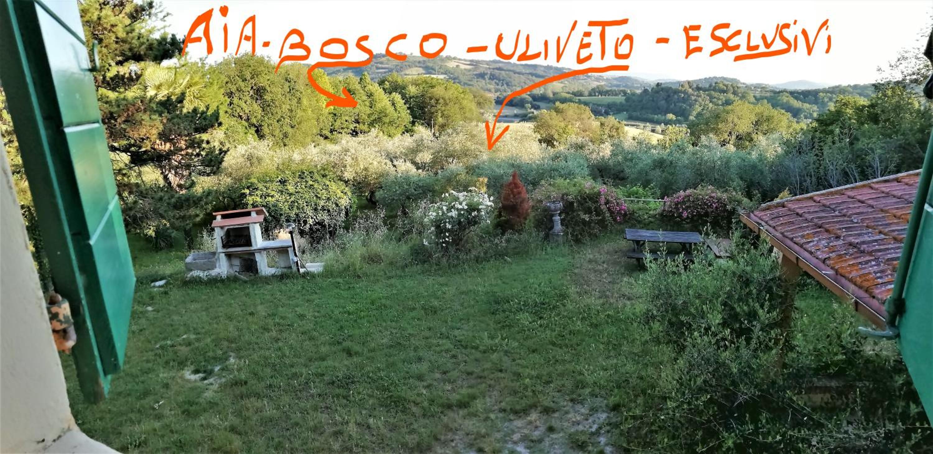 BeBrettino Atipico. Un into the wild tranquillo view 2