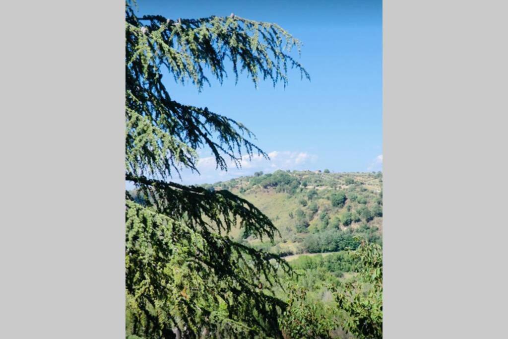Rome Retreat photo 5
