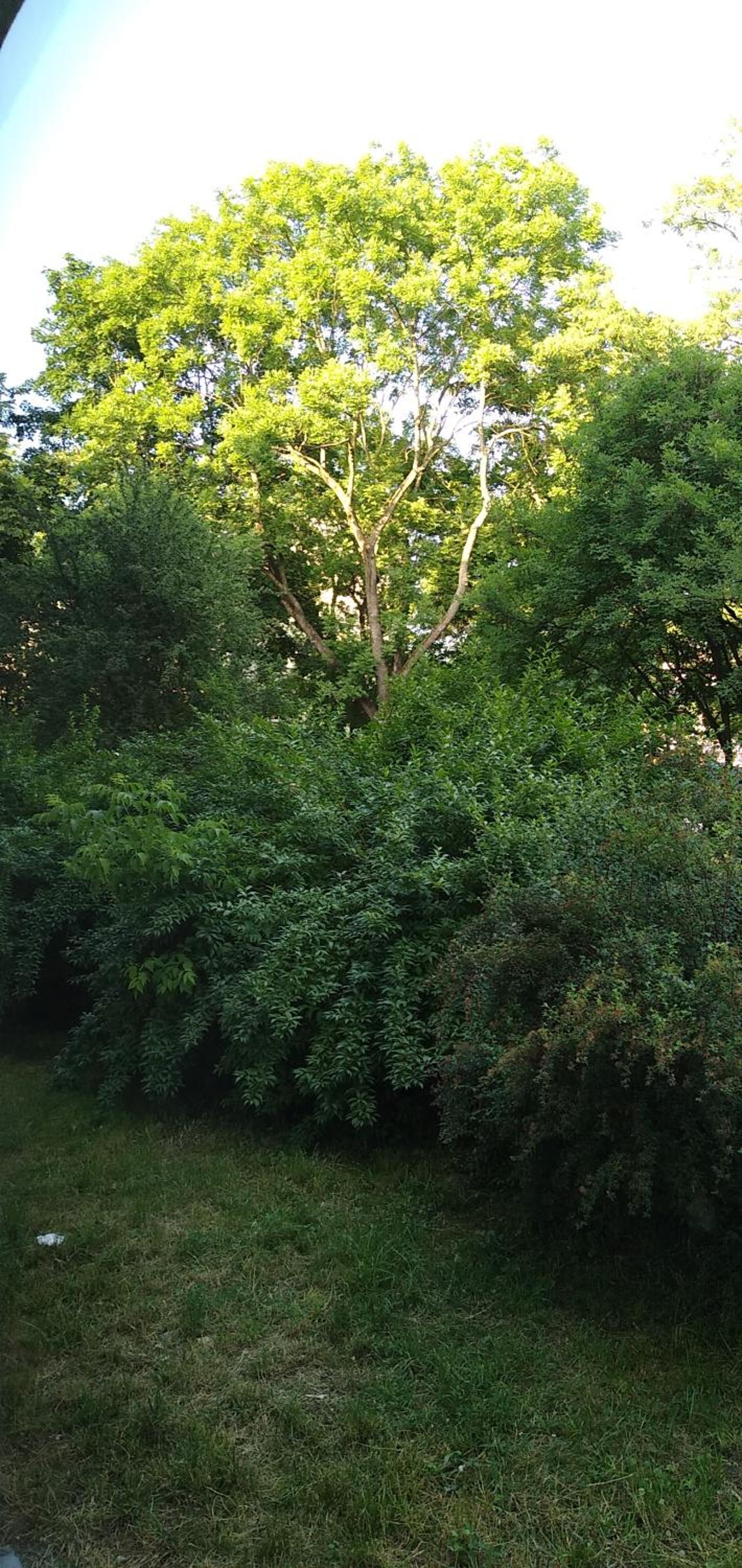 Zielony Apartament, Kielce, Targi, Centrum view 4