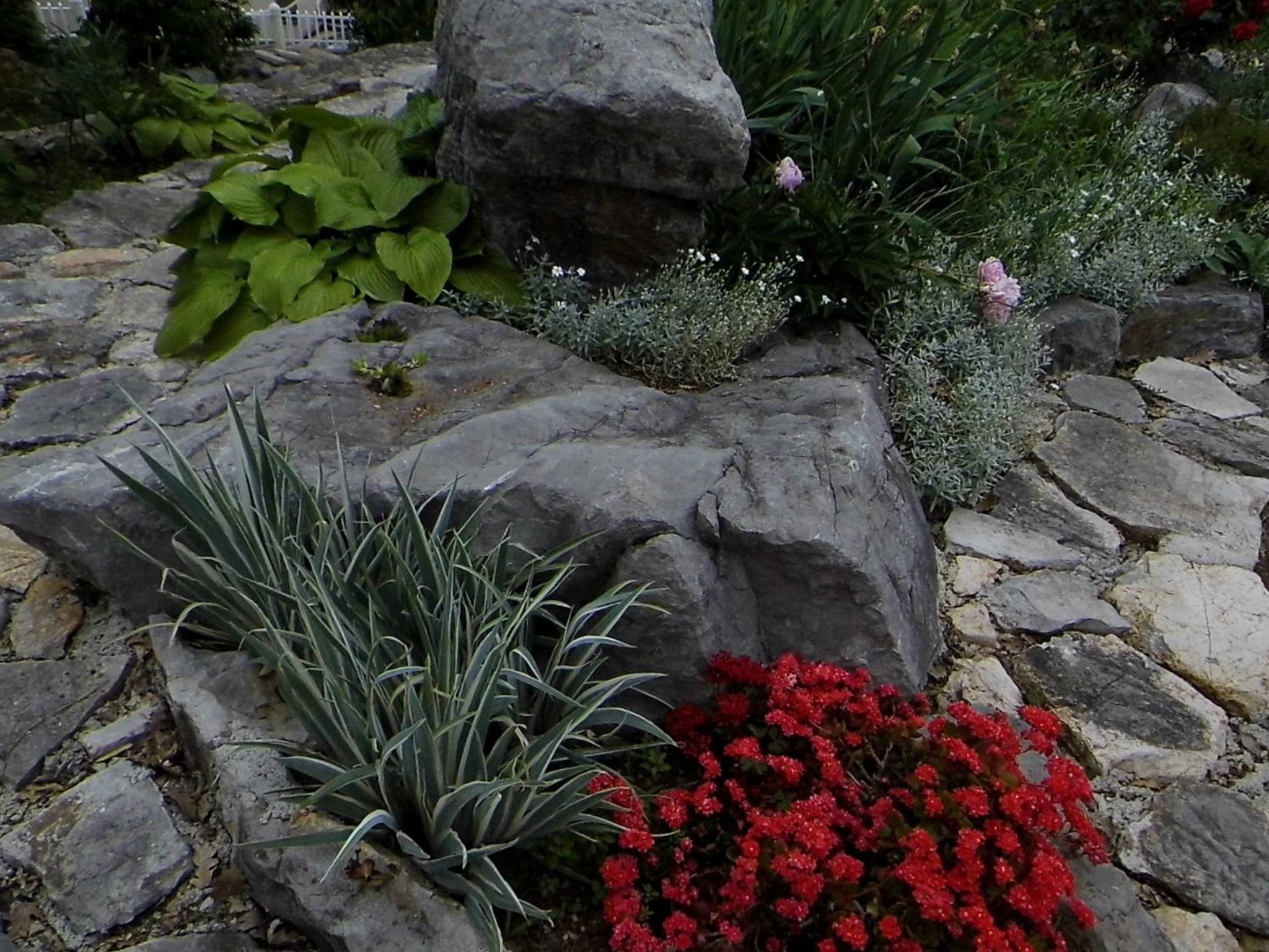 Photo 22