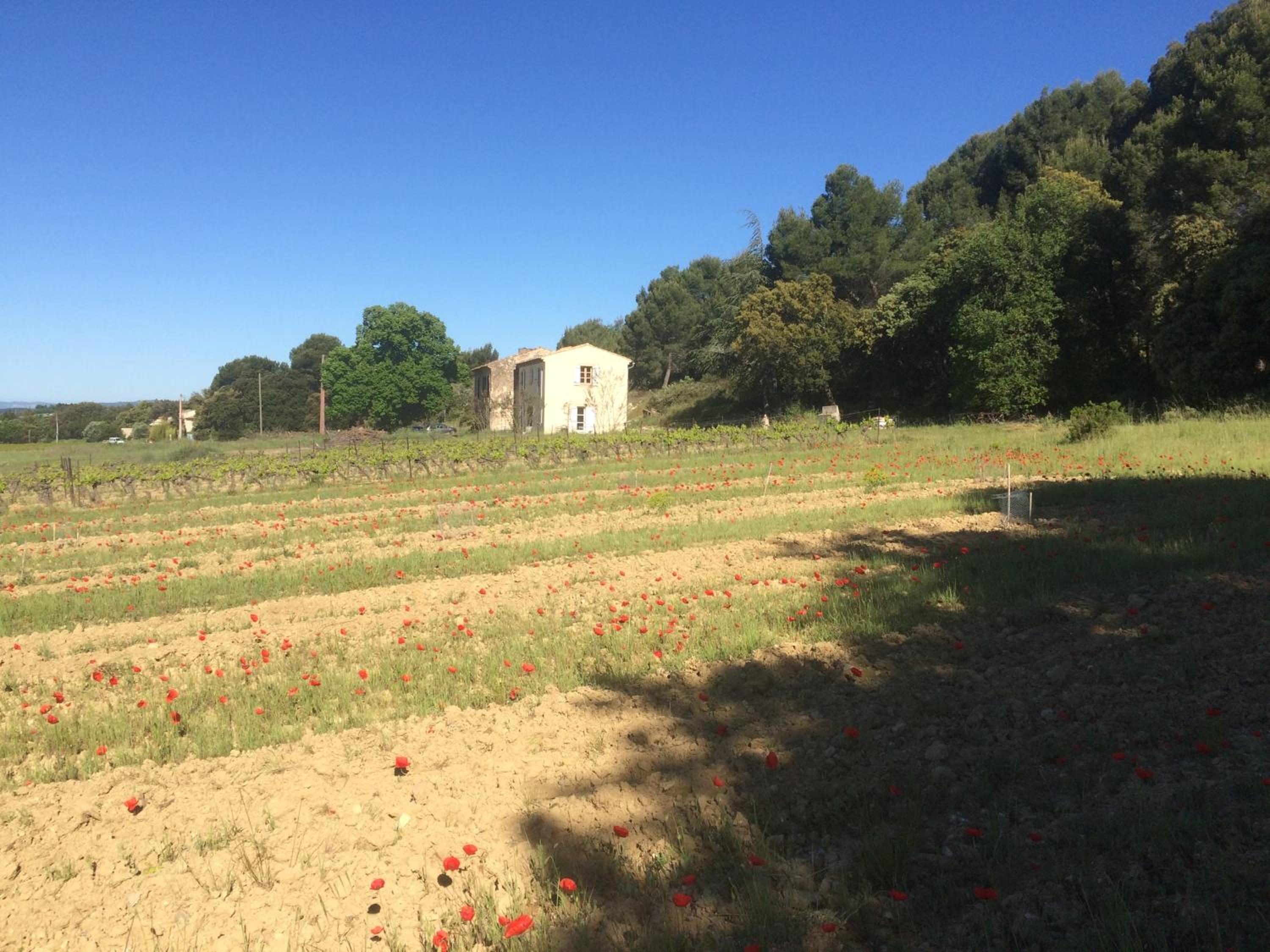 Chambre hôtes Les Garrigues CUCURON