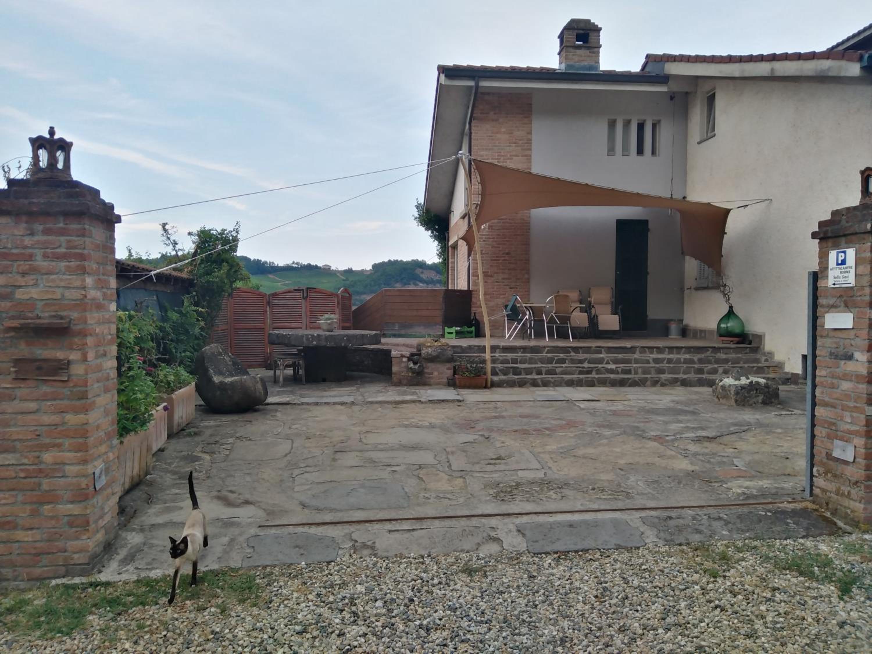 Photo 14