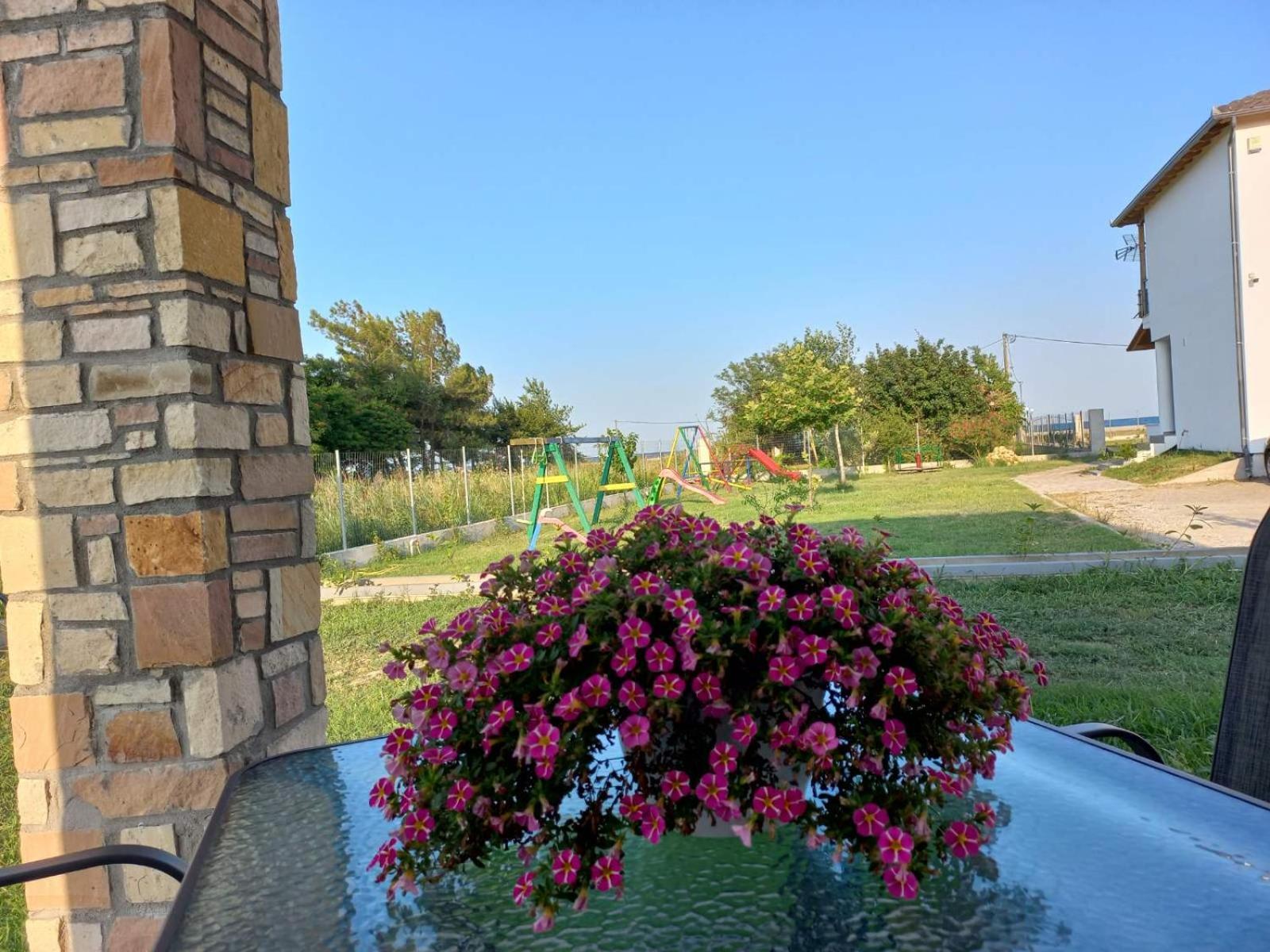 Photo 31