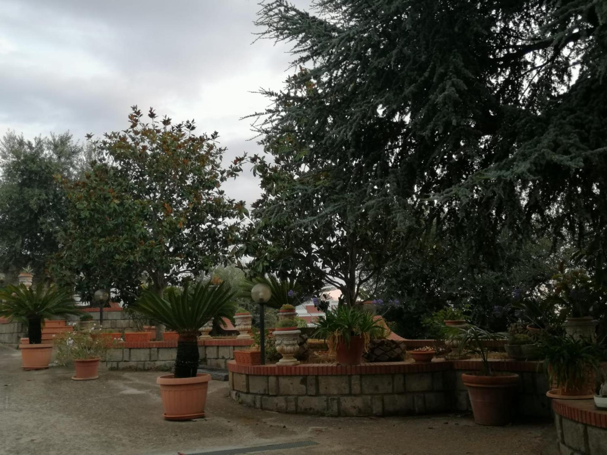 Photo 20