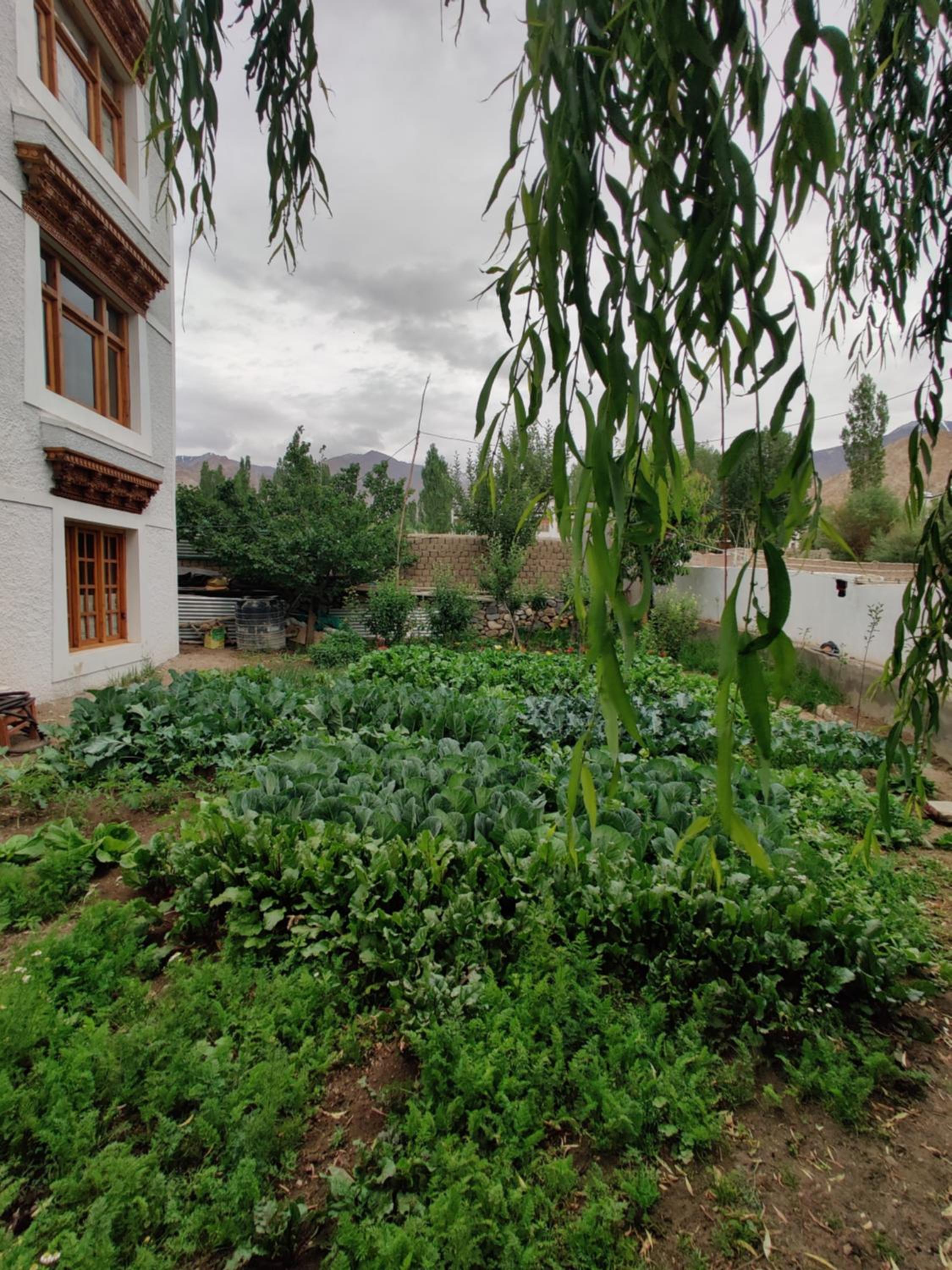 Photo 26