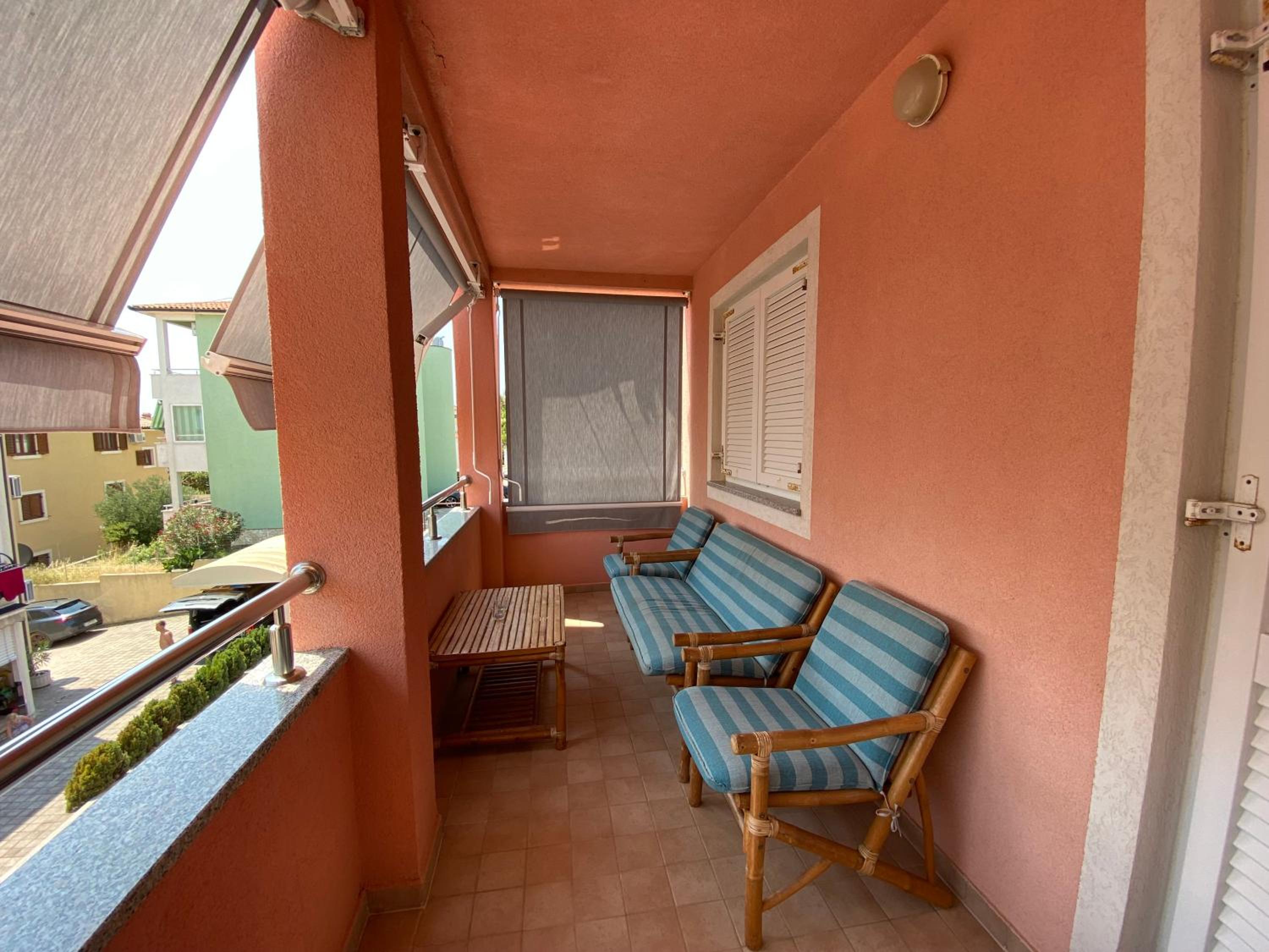 Molnar view 5