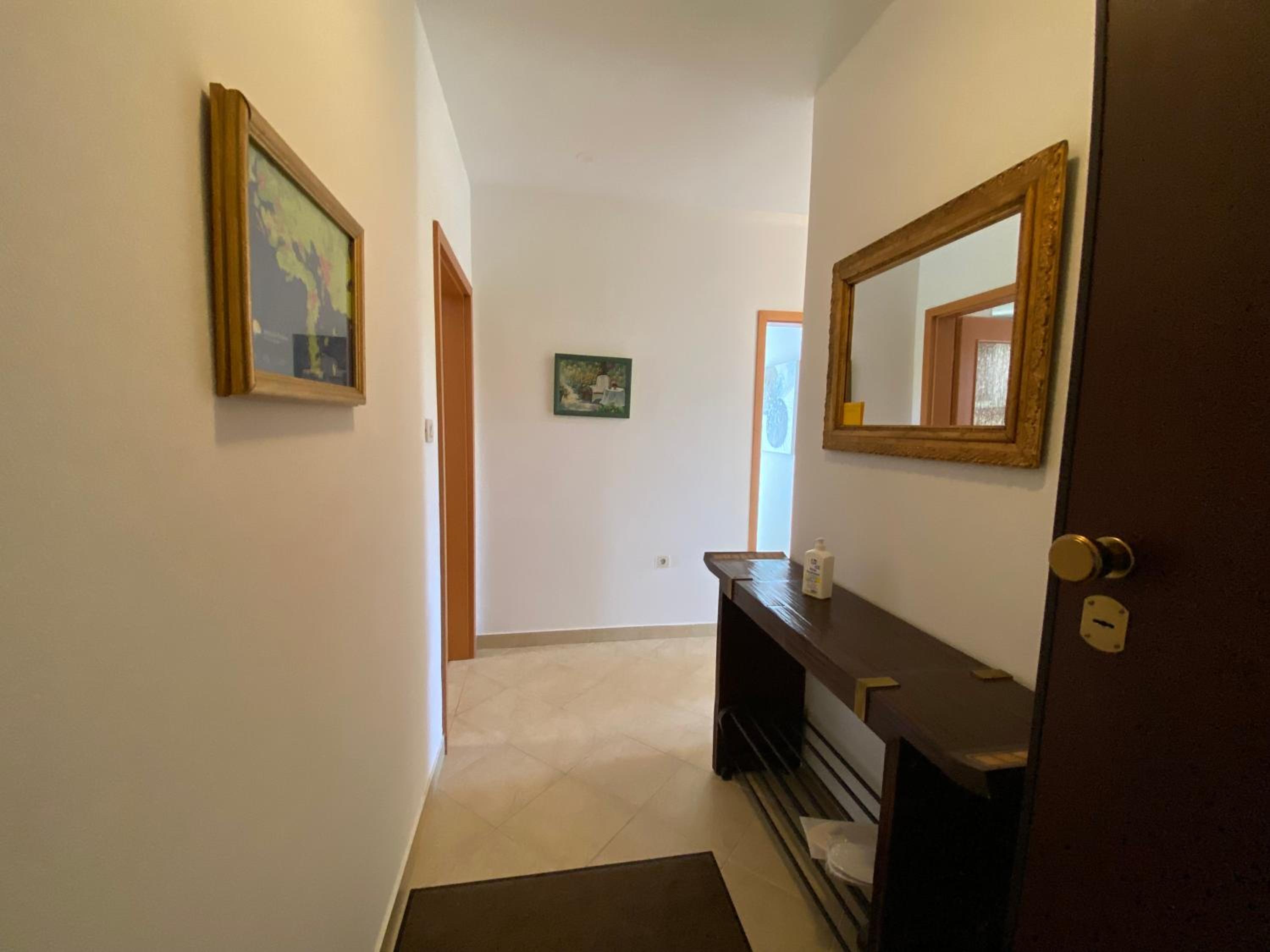 Molnar view 3