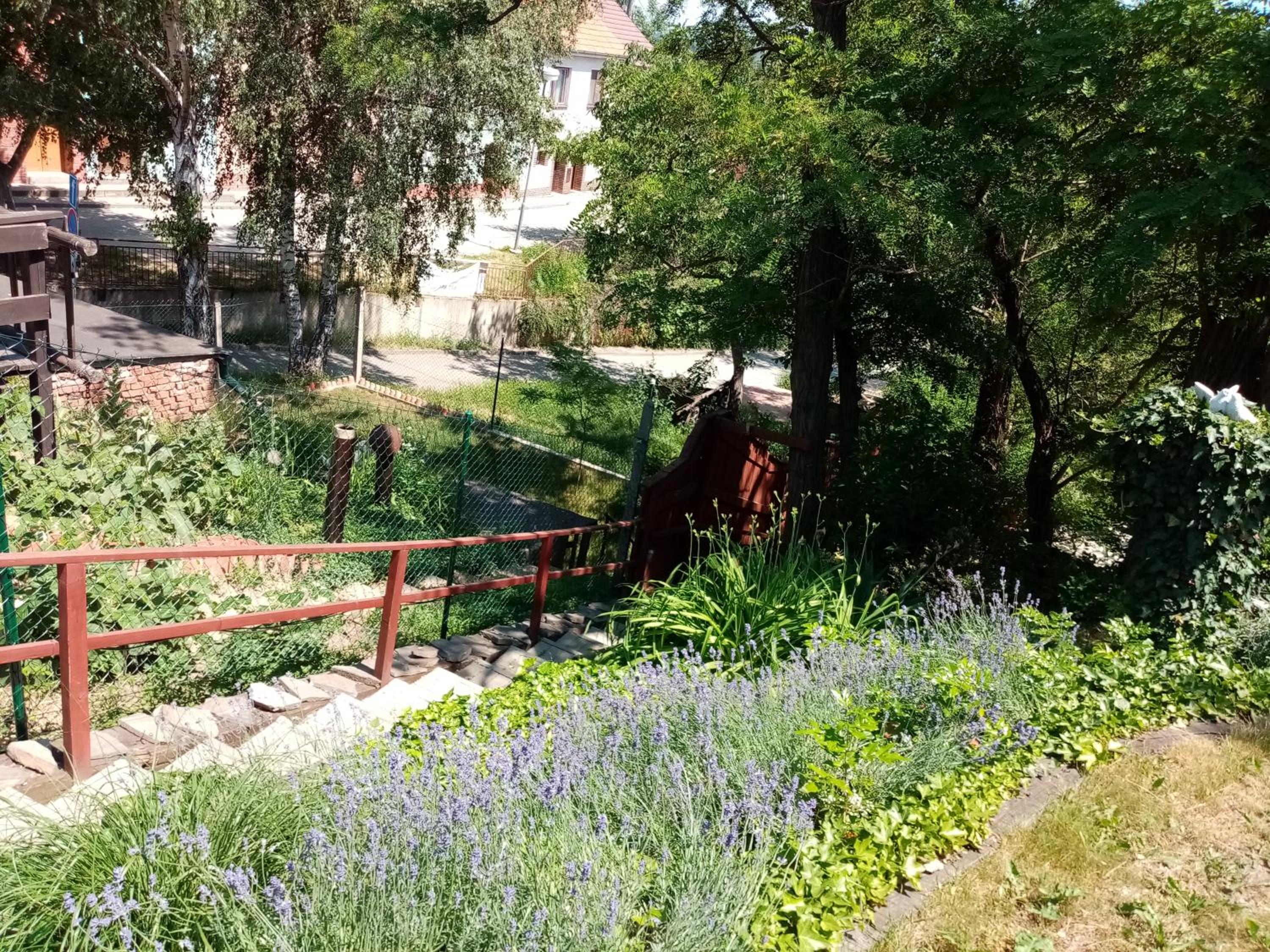 Photo 22