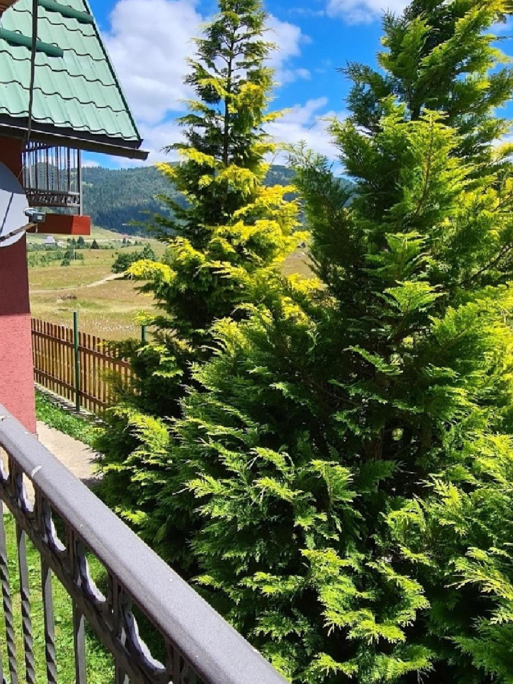 Mountain House Mir