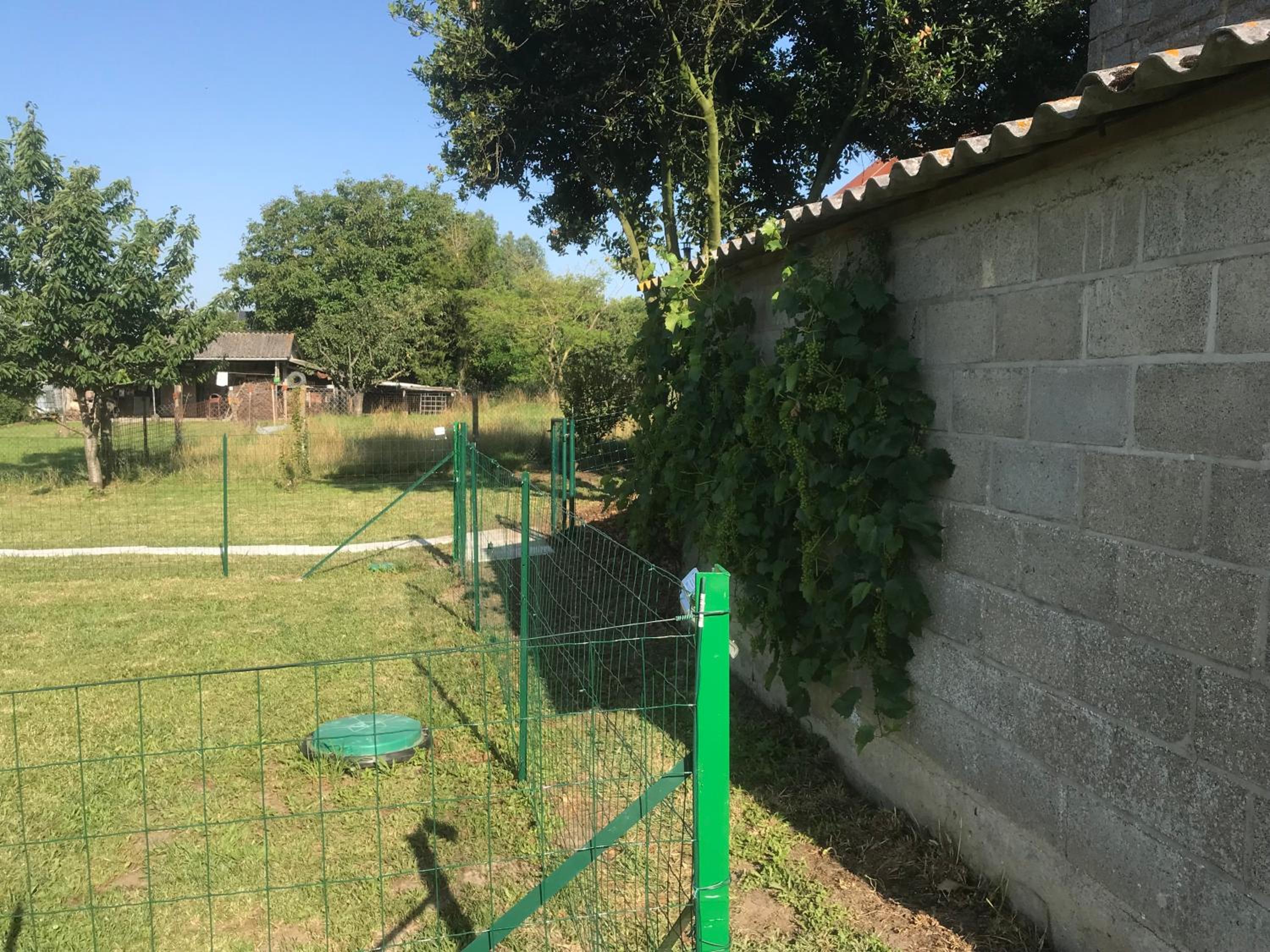Photo 17