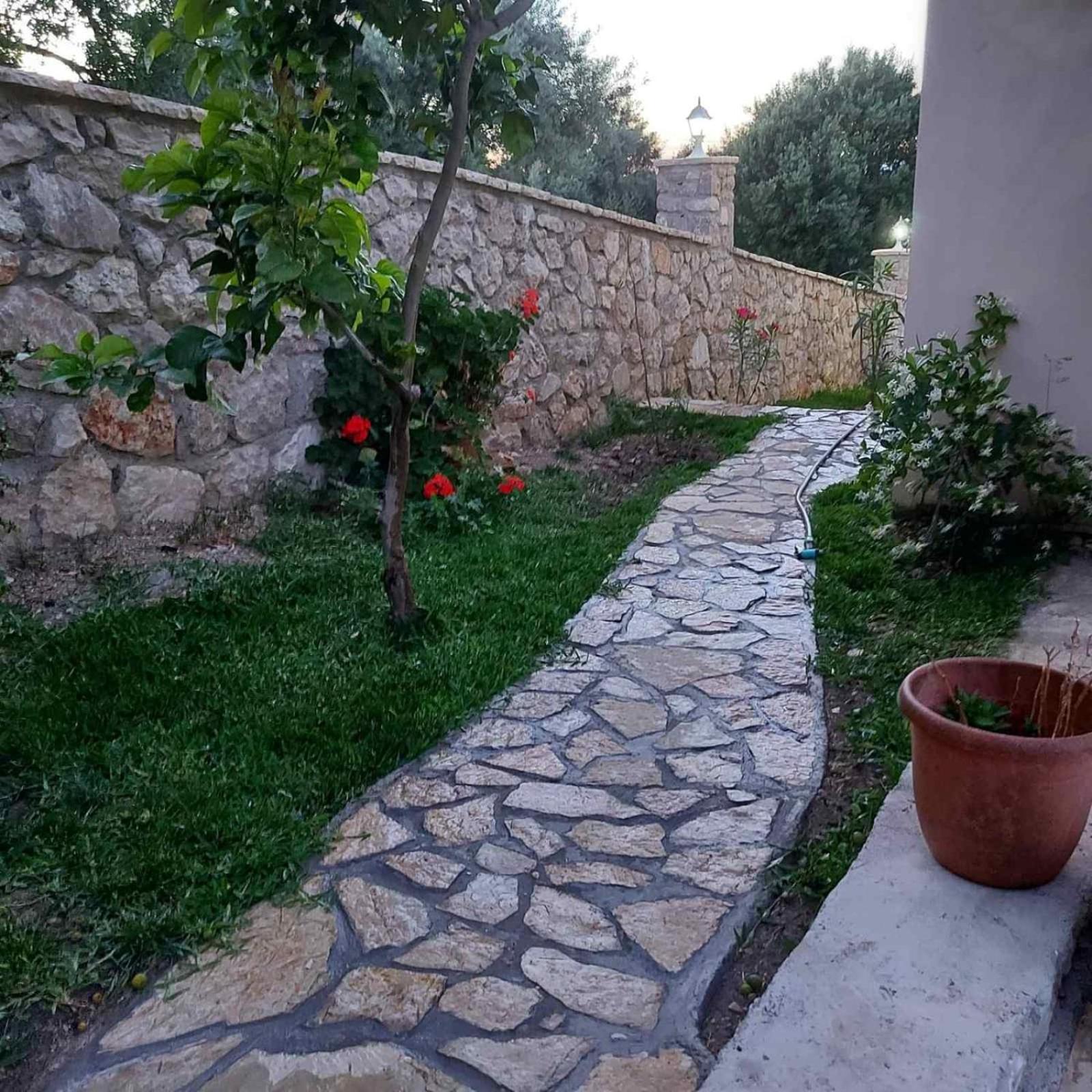 Photo 22