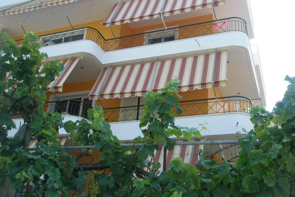 Lina's Apartment