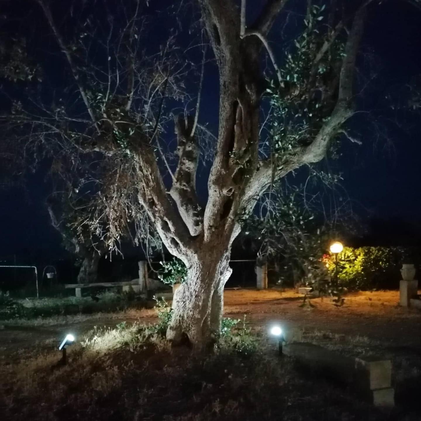 Photo 31