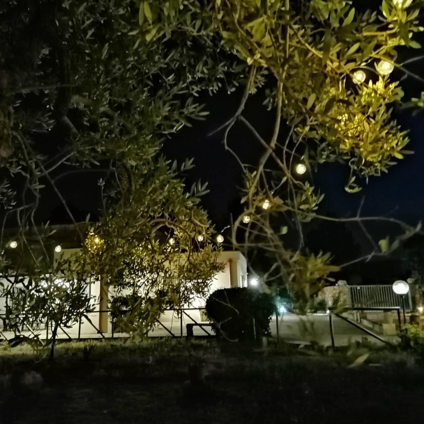 Photo 29