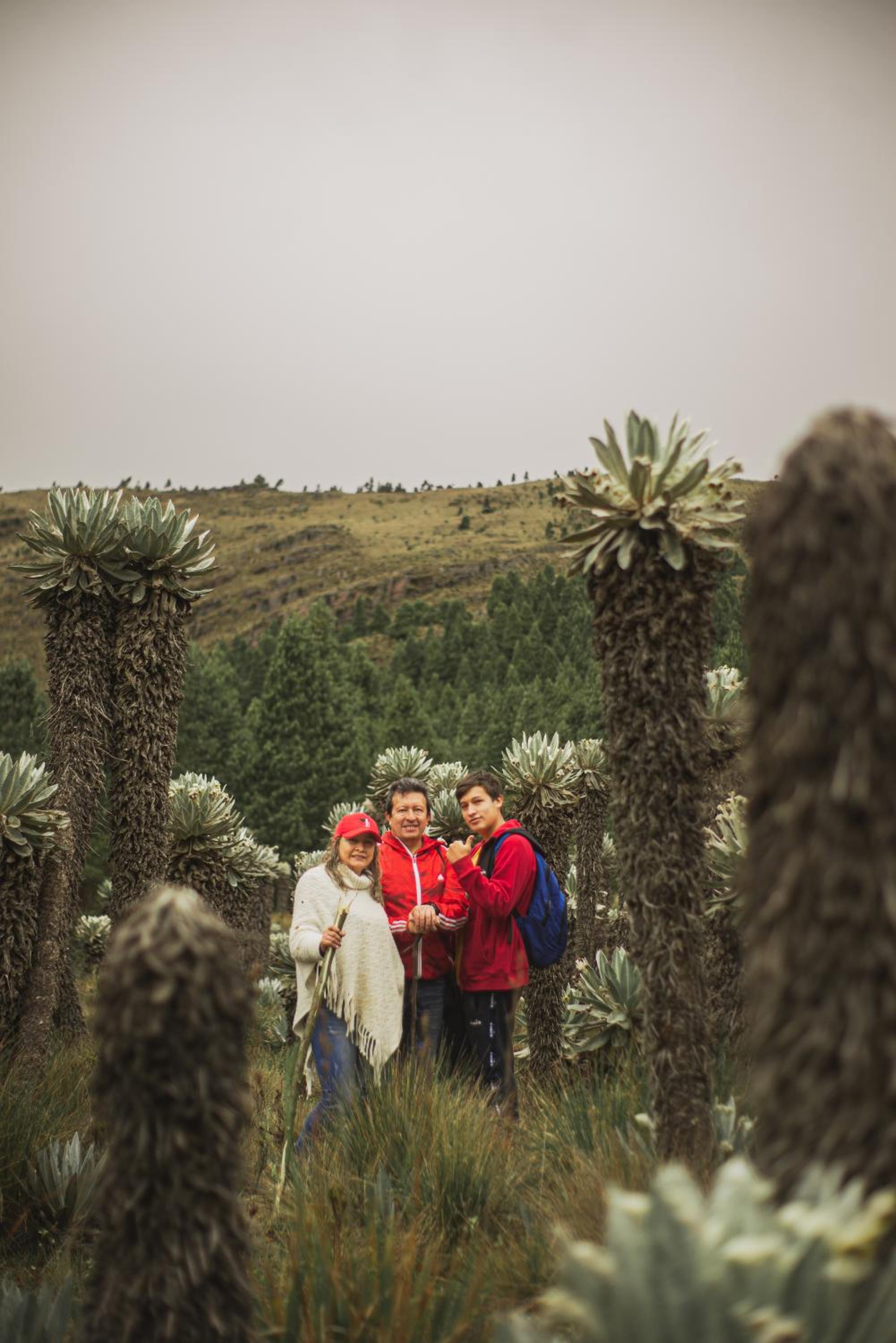 Reserva Campestre LA CABAÑA GLAMPING